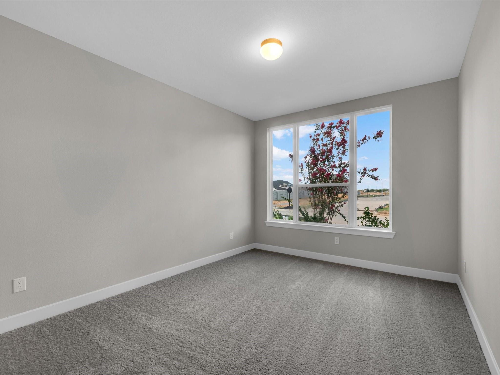 16602 Blissful Day Way Property Photo 14