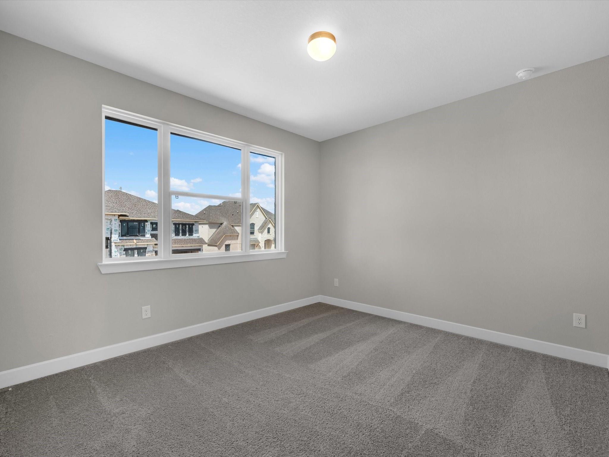 16602 Blissful Day Way Property Photo 19