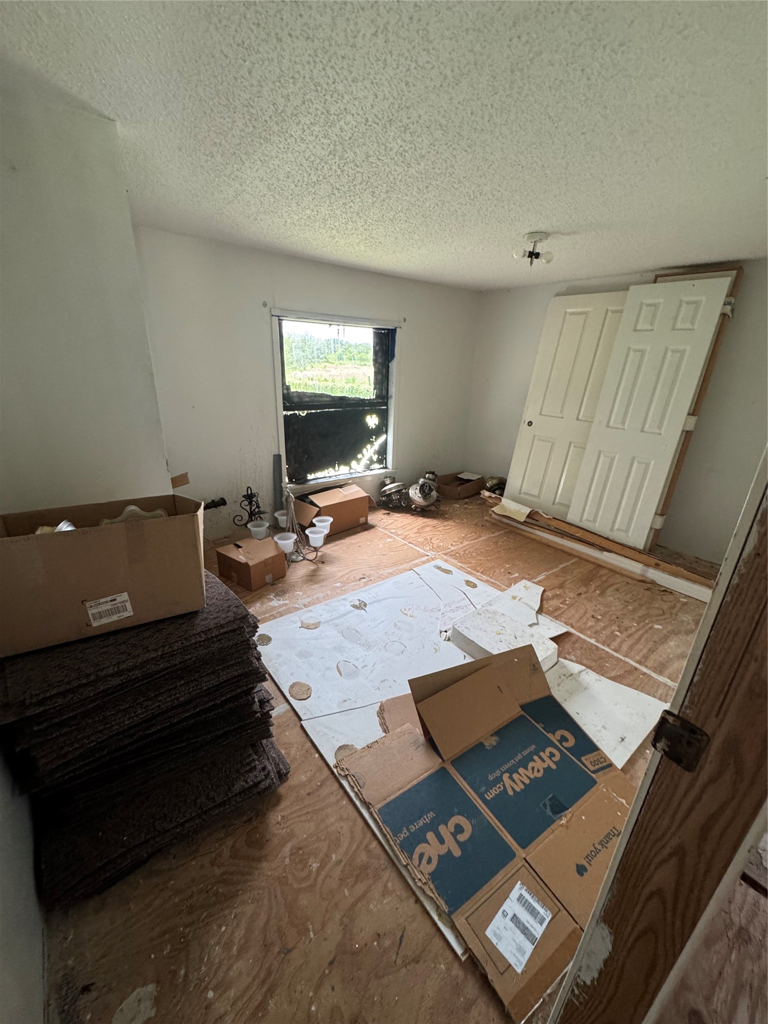 809 Campbell Road Property Photo 29