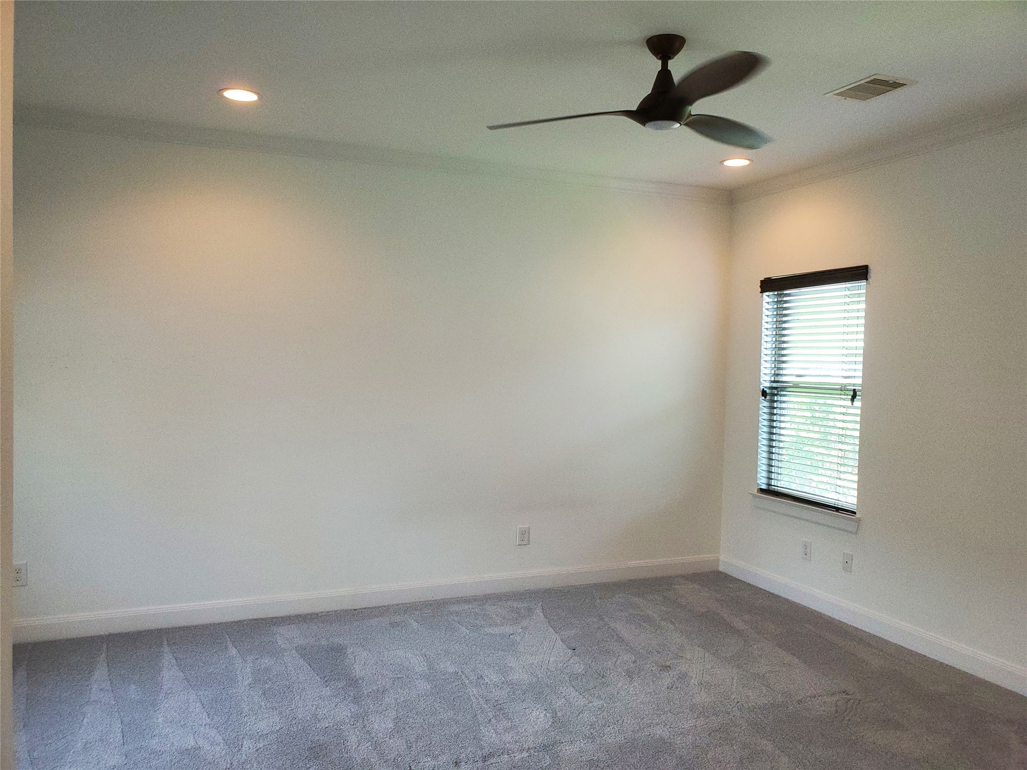 2 Hermann Park Court Property Photo 20