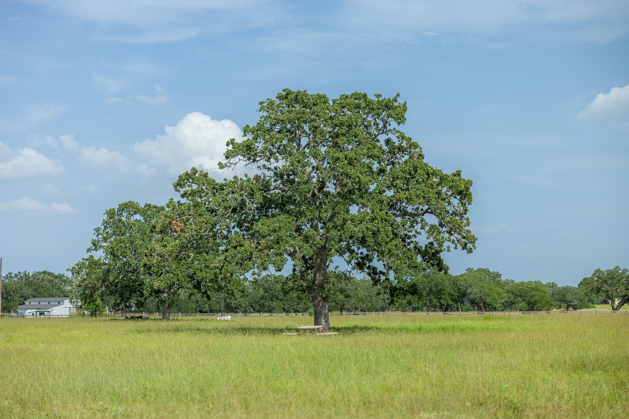 7344 N Fm 1291 Property Photo 26