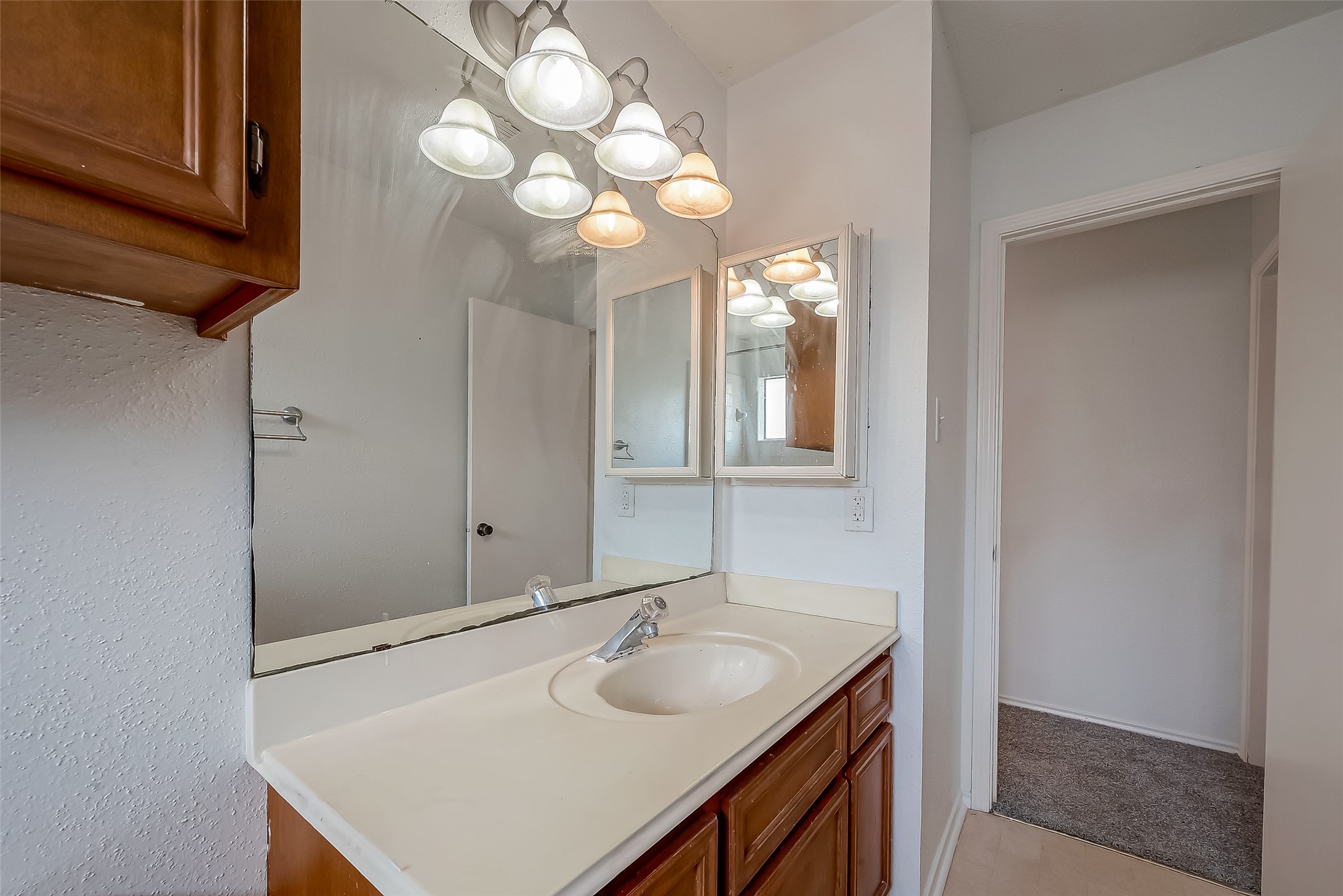 5110 Prairie Creek Drive Property Photo 42