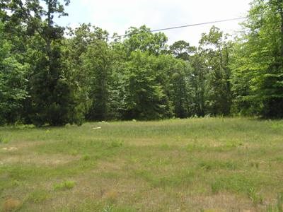 Tbd Fm 3126 And Hwy 190 W Property Photo 1