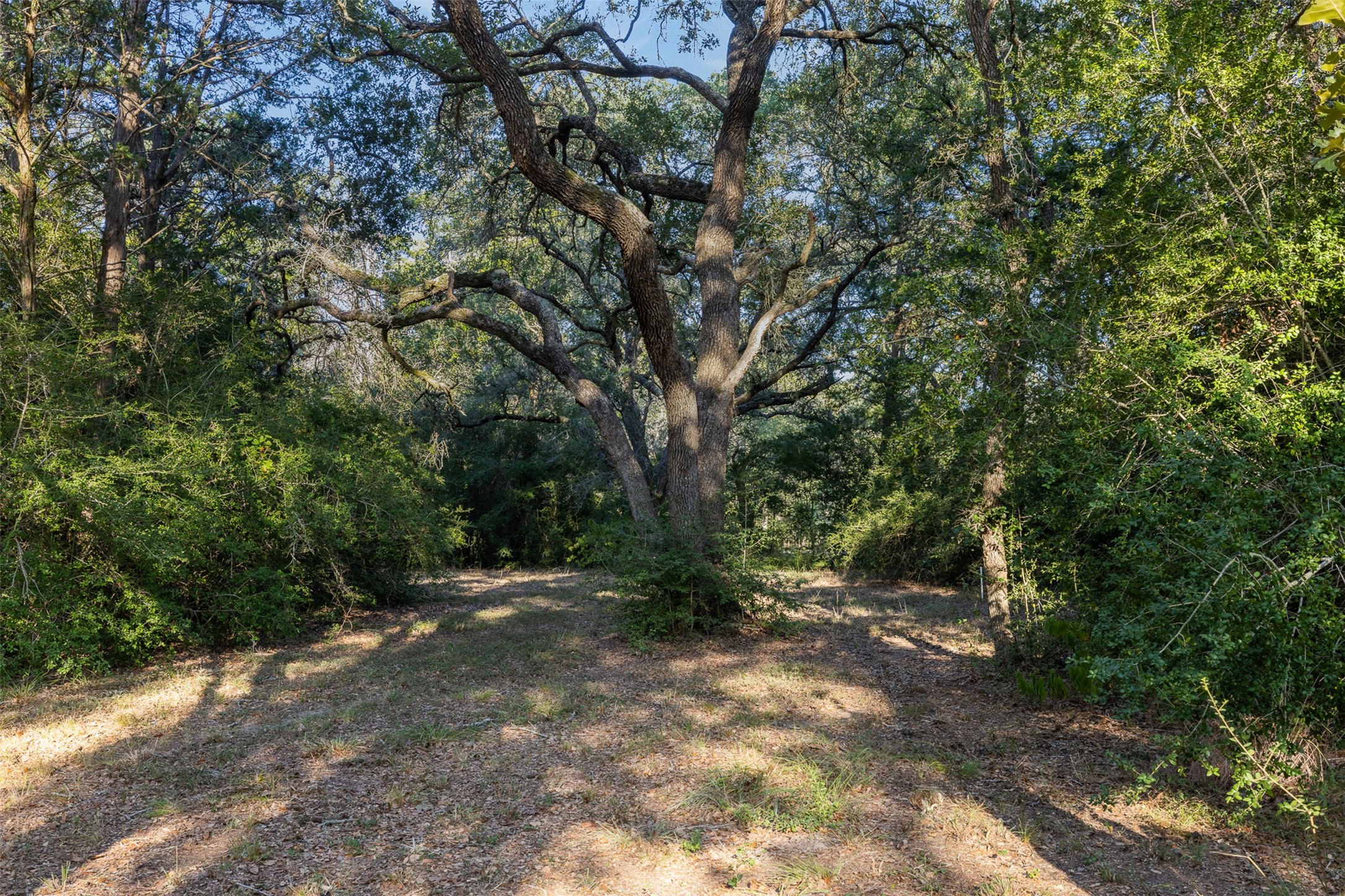 5501 Mach Road Property Photo 29