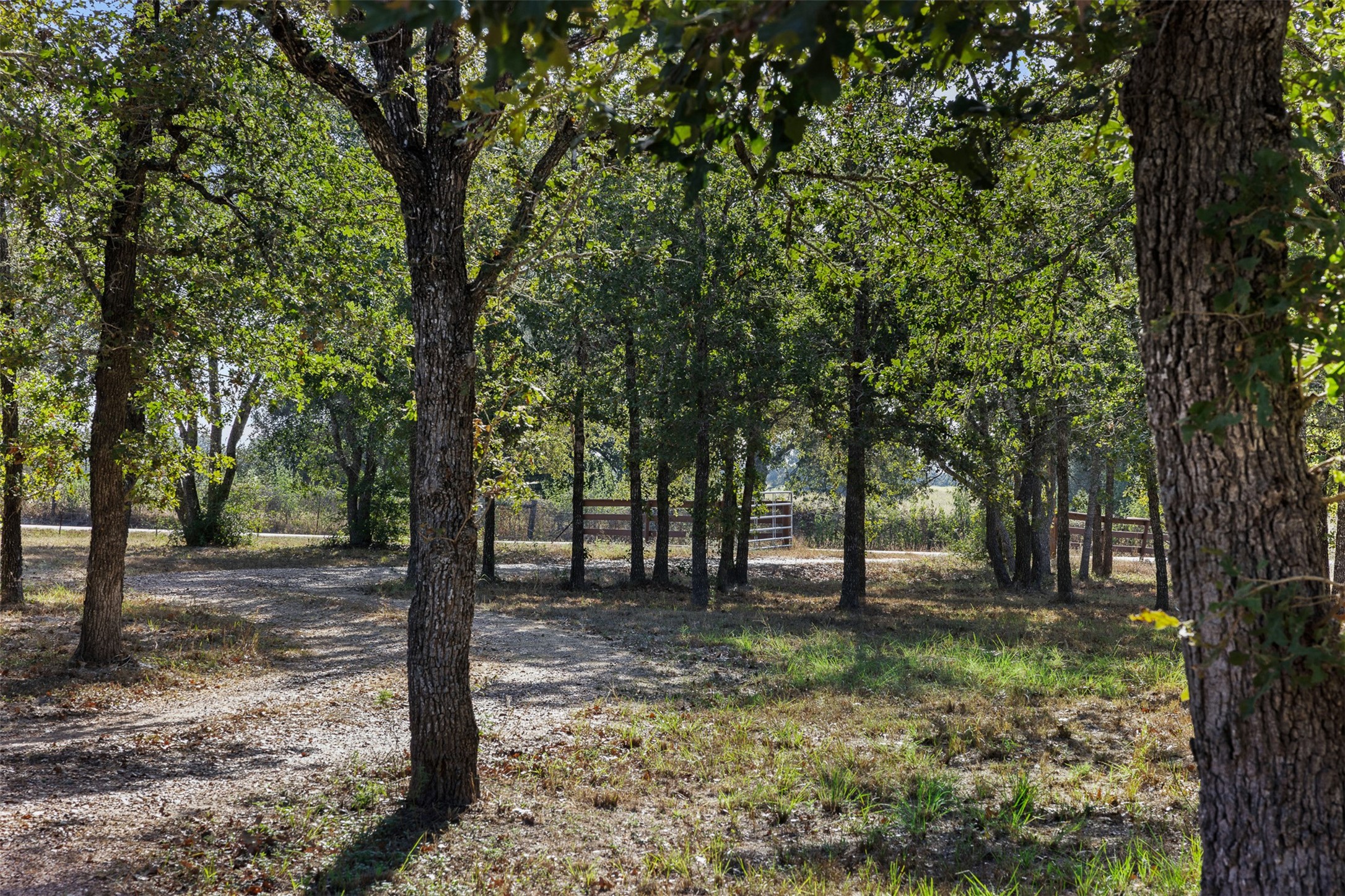 5501 Mach Road Property Photo 30