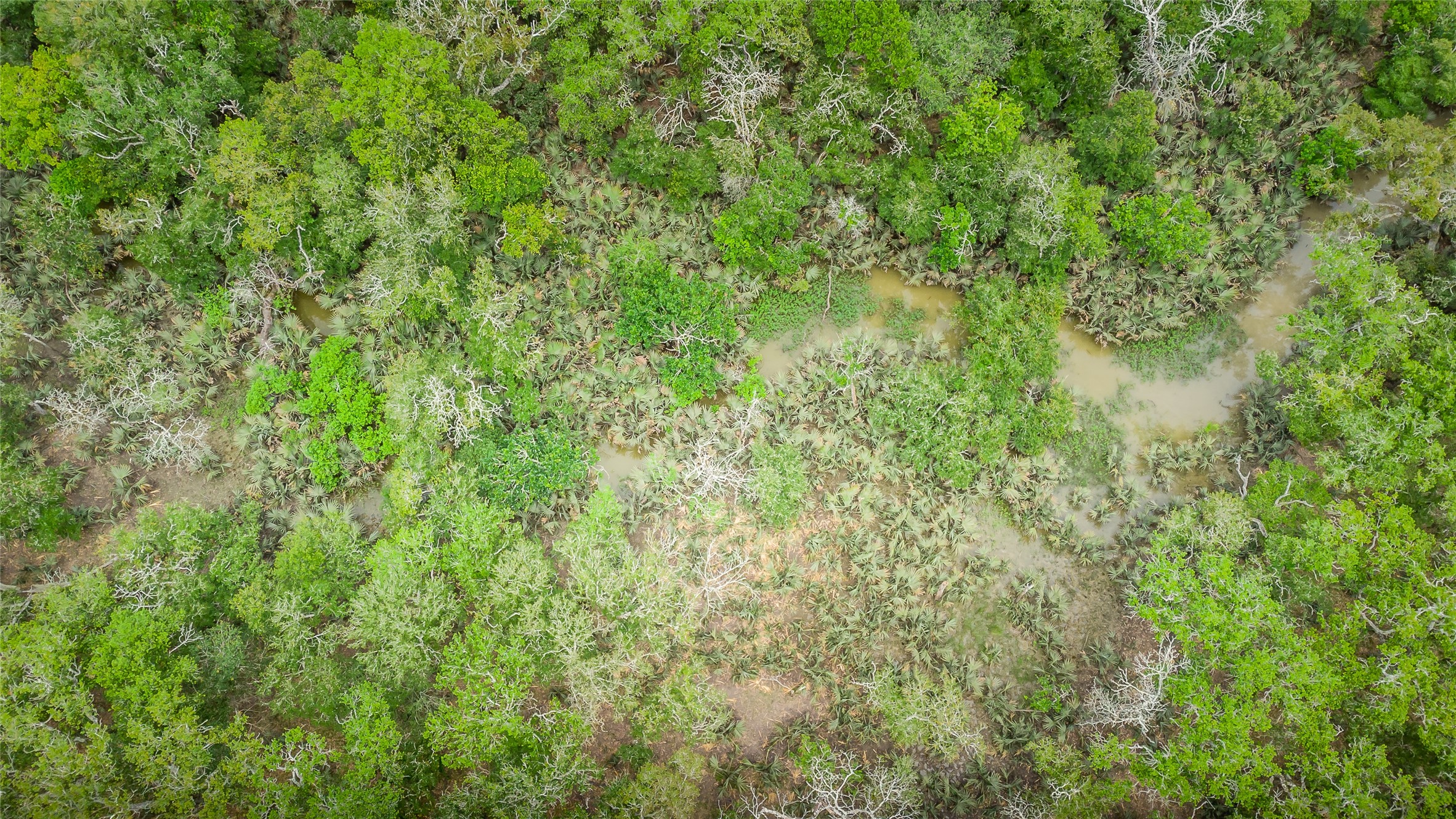 5126 County Rd 208 Property Photo 26