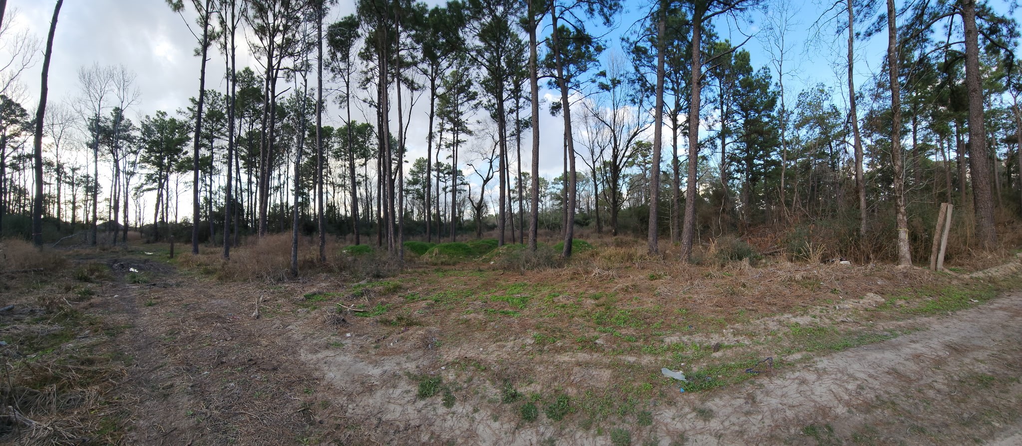 0 W Hardy 20425 Road Road Property Photo