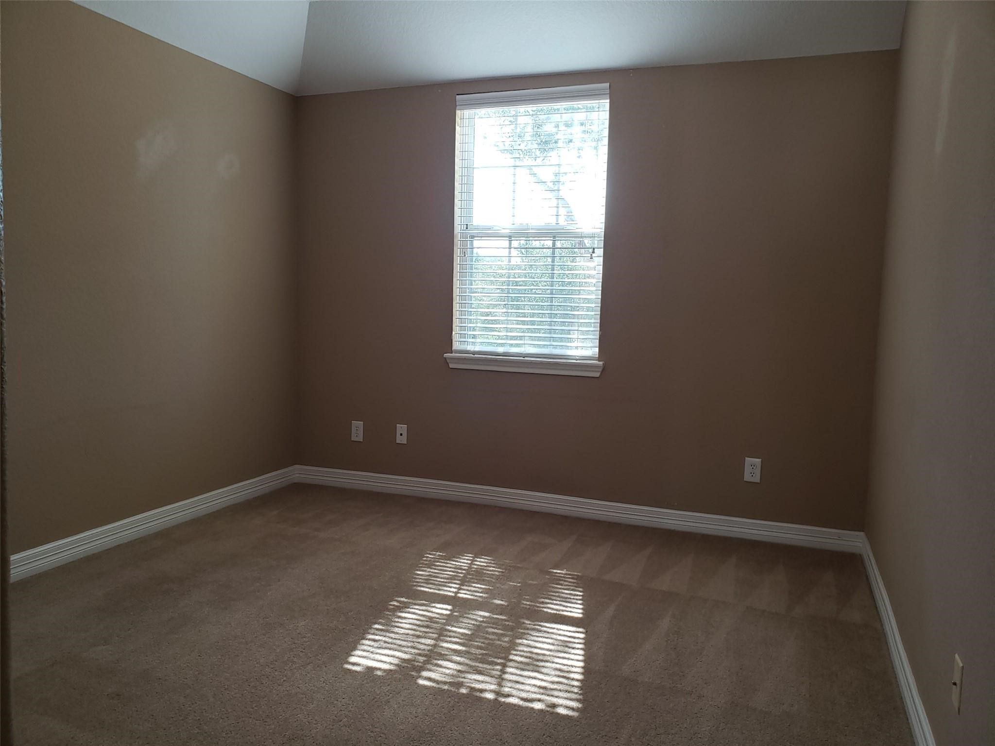 3607 Cat Springs Lane Property Photo 24