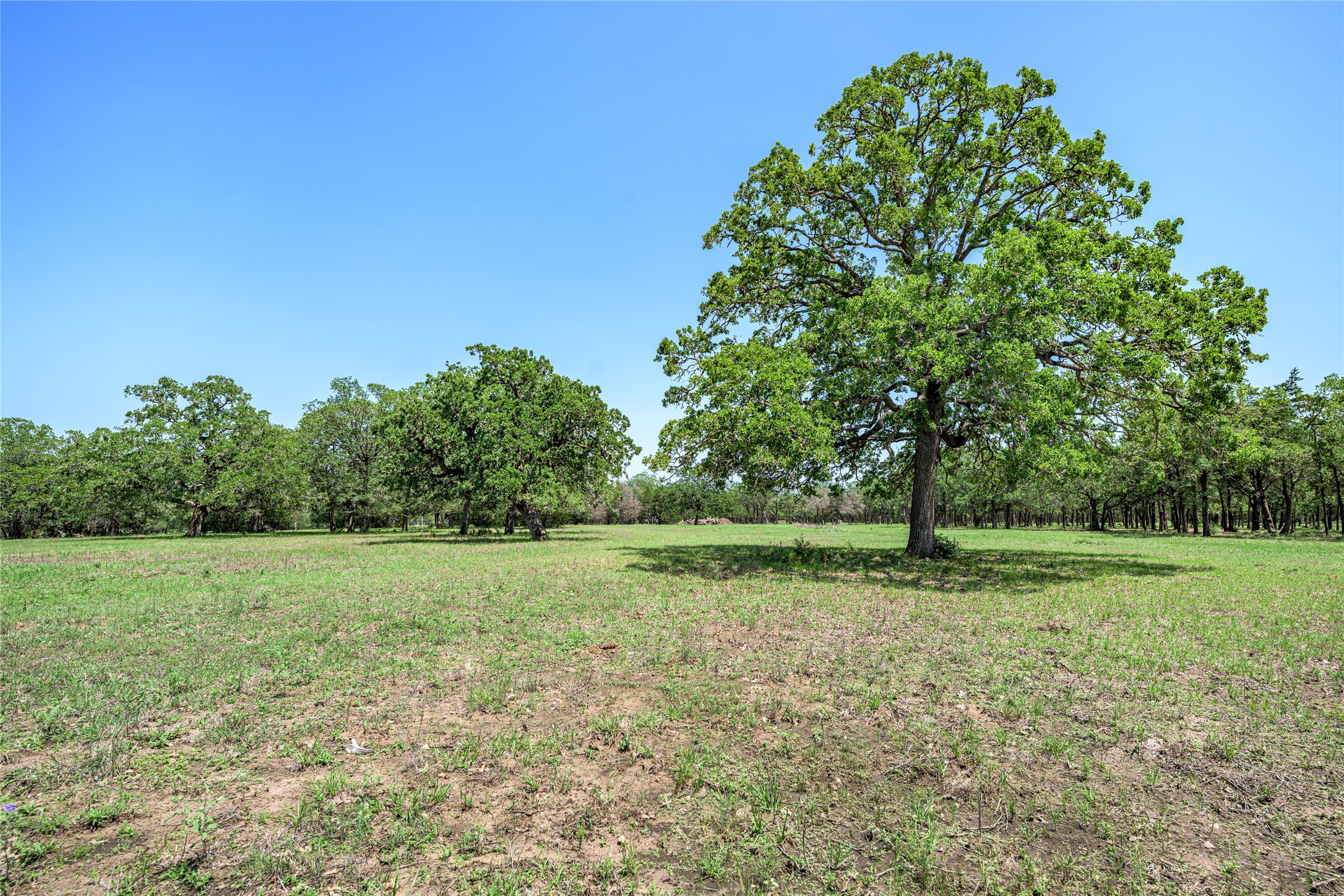 4638 Red Hollow Lane Property Photo 9