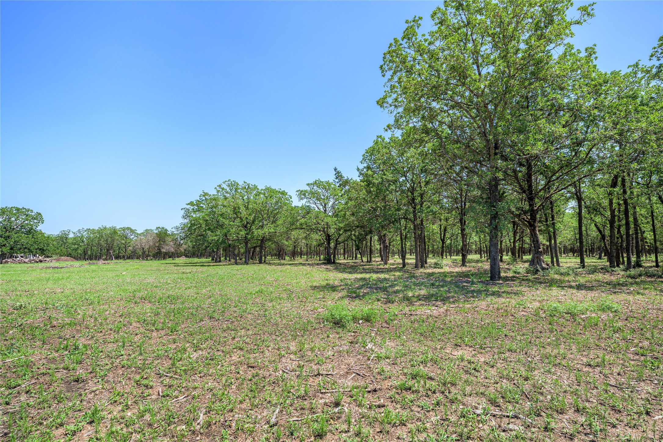 4638 Red Hollow Lane Property Photo 10