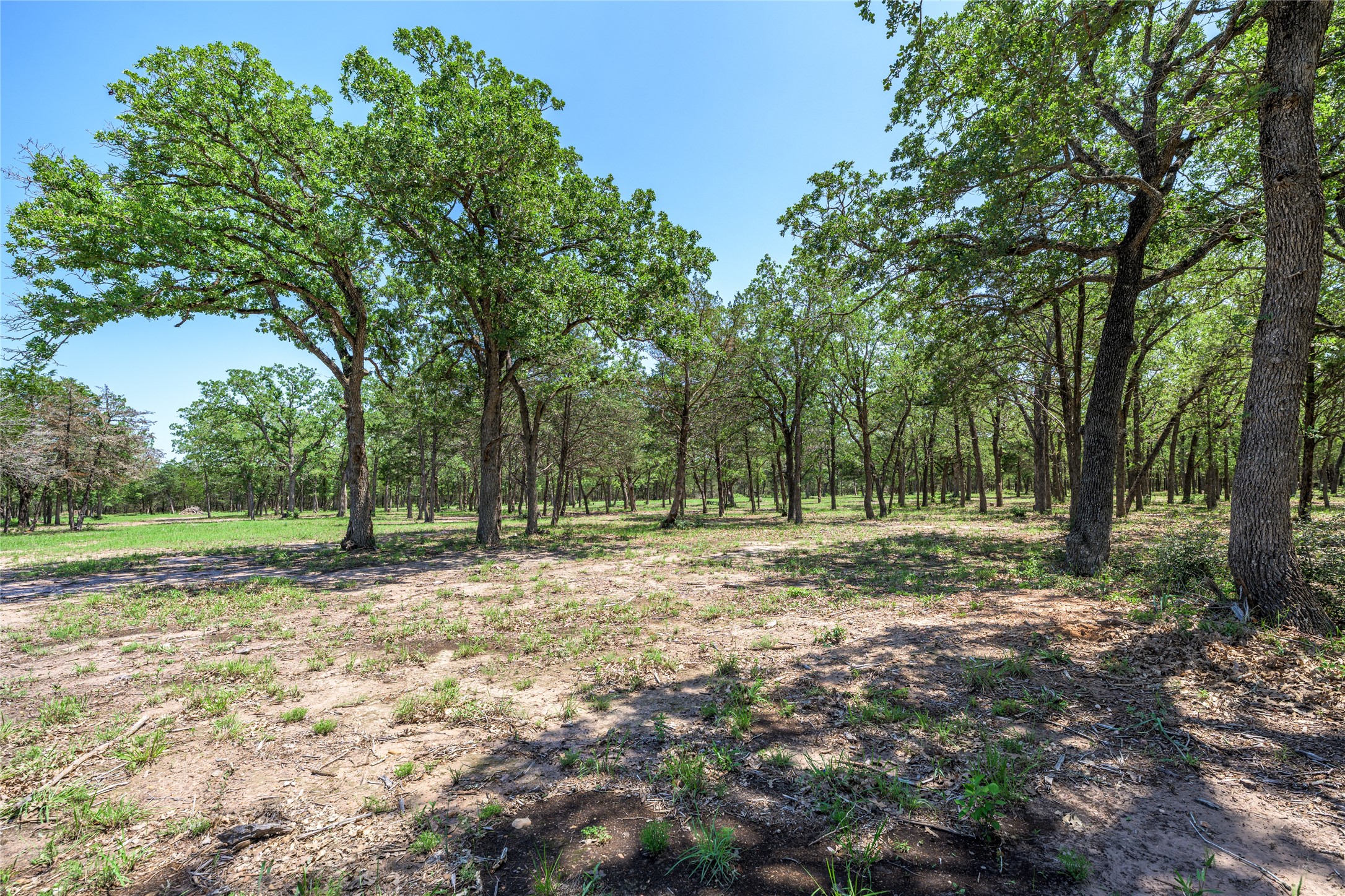 4638 Red Hollow Lane Property Photo 11