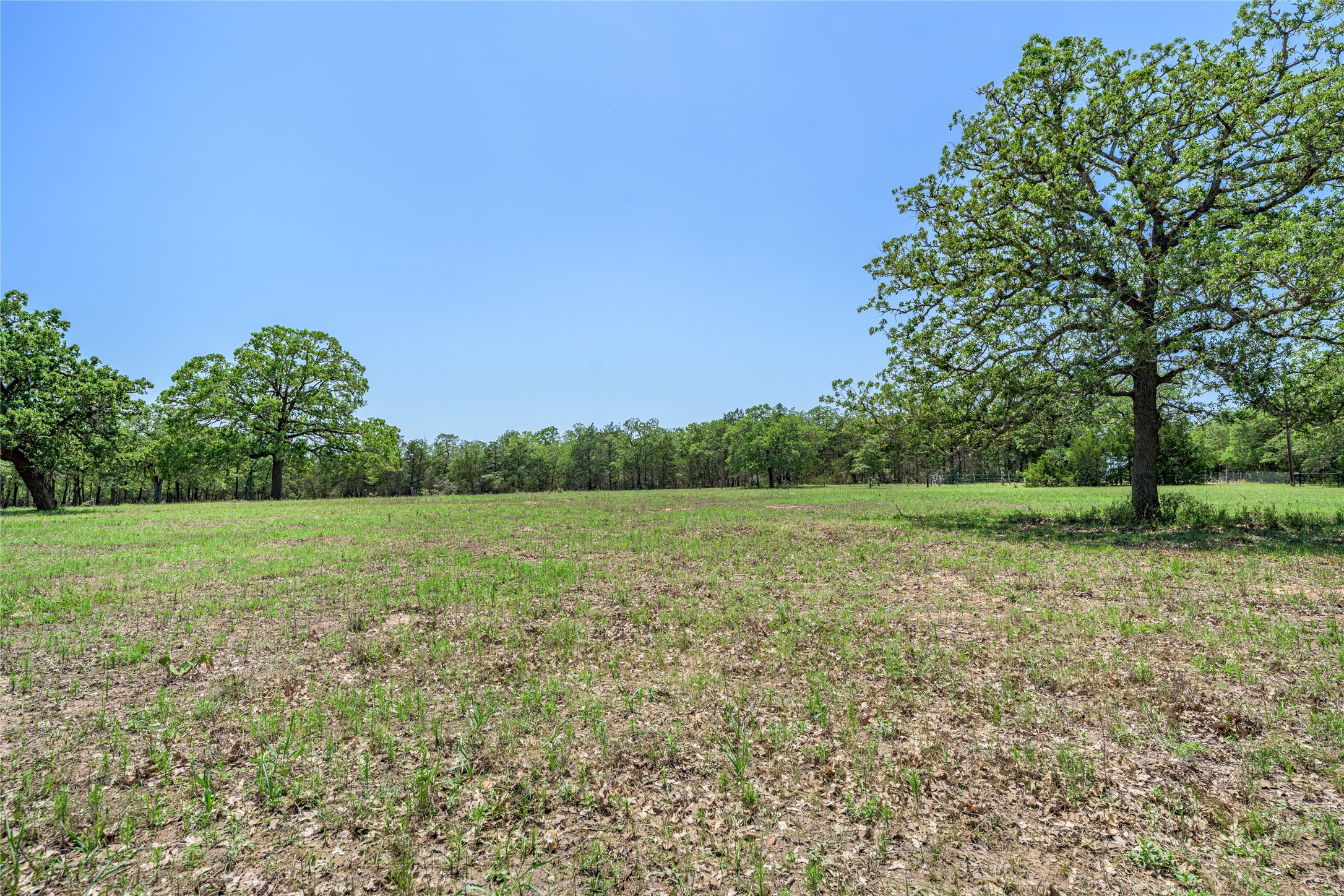 4638 Red Hollow Lane Property Photo 12