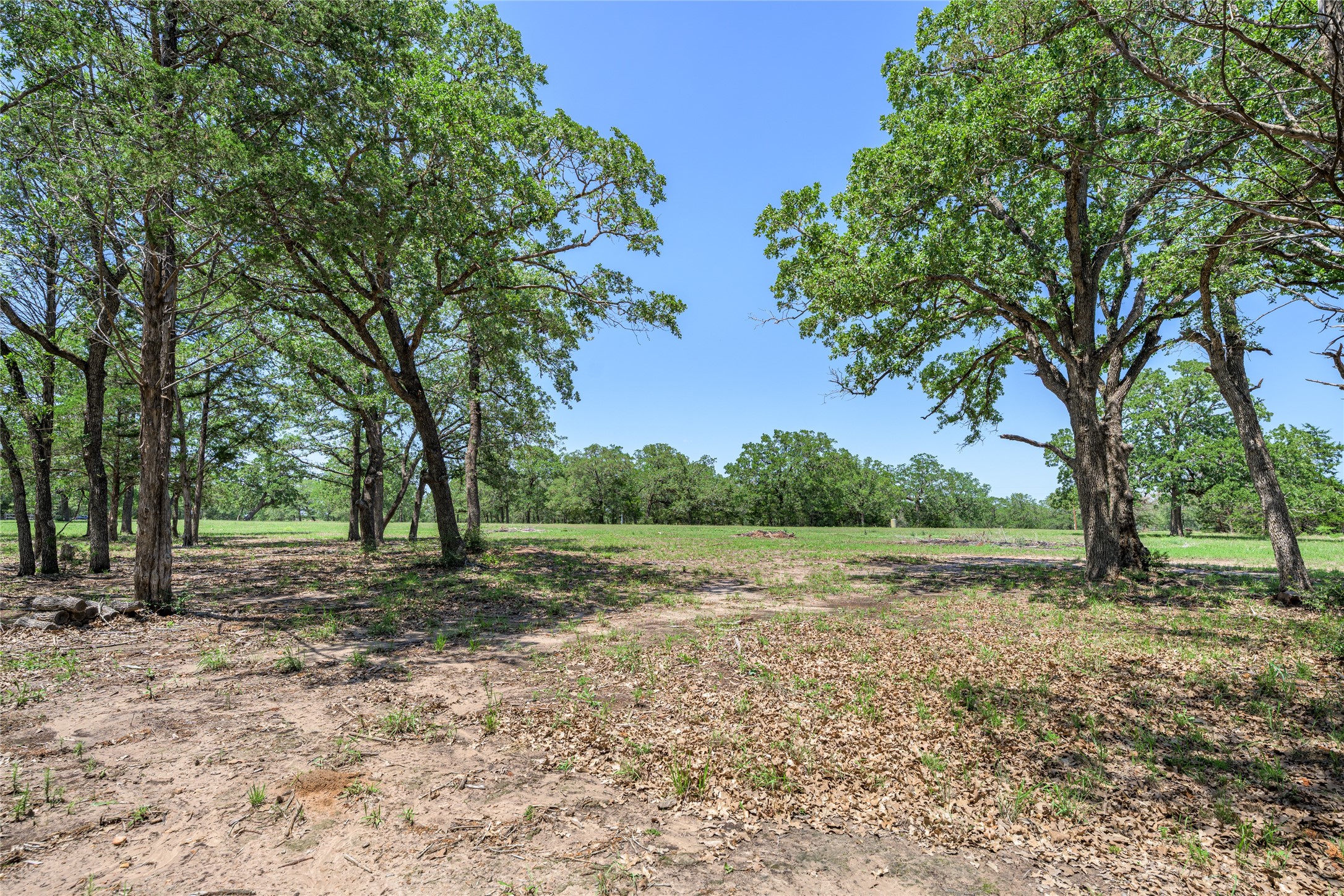 4638 Red Hollow Lane Property Photo 13