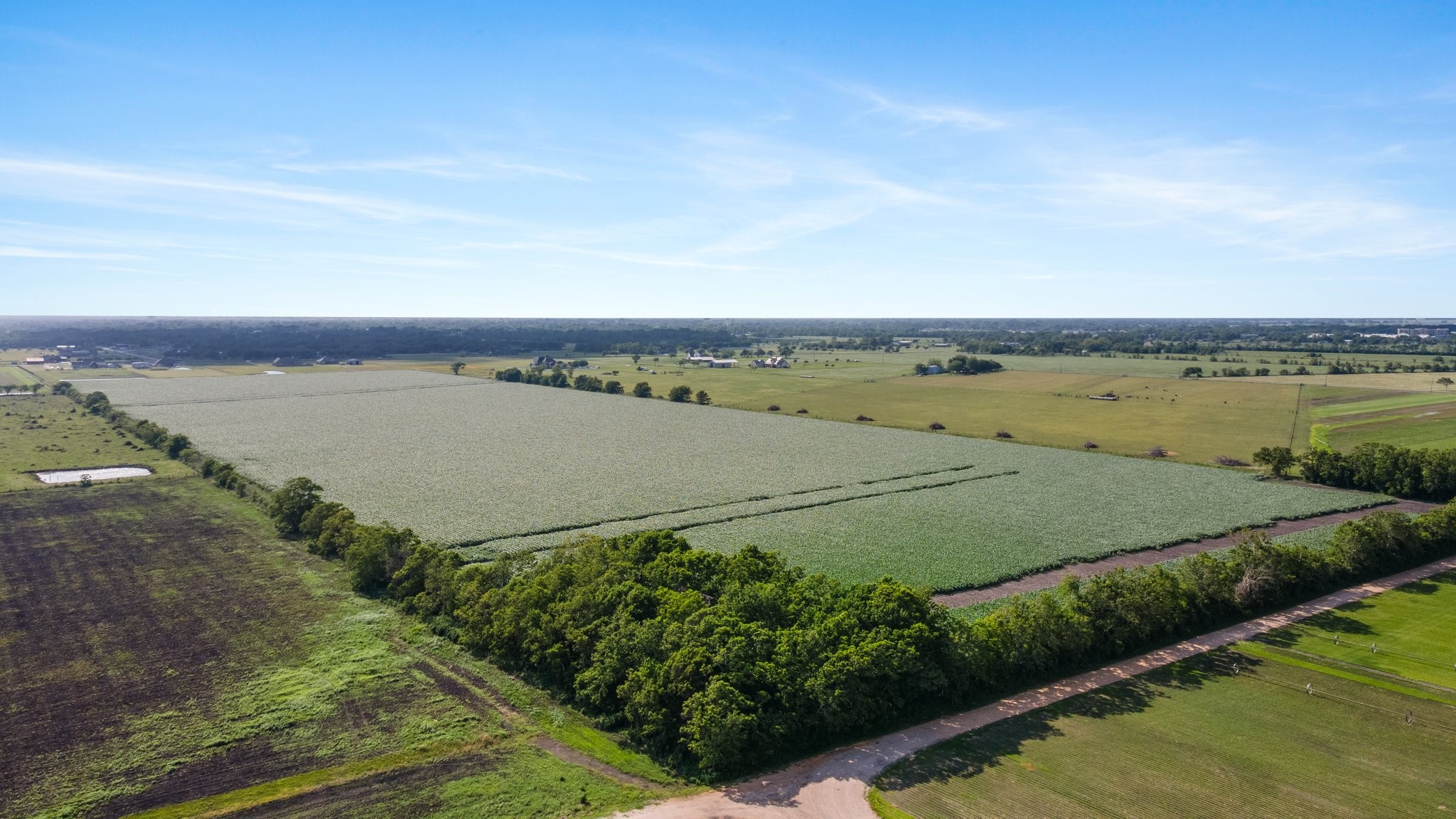 0 County Road 166 Bucks Bayou Road Property Photo 1
