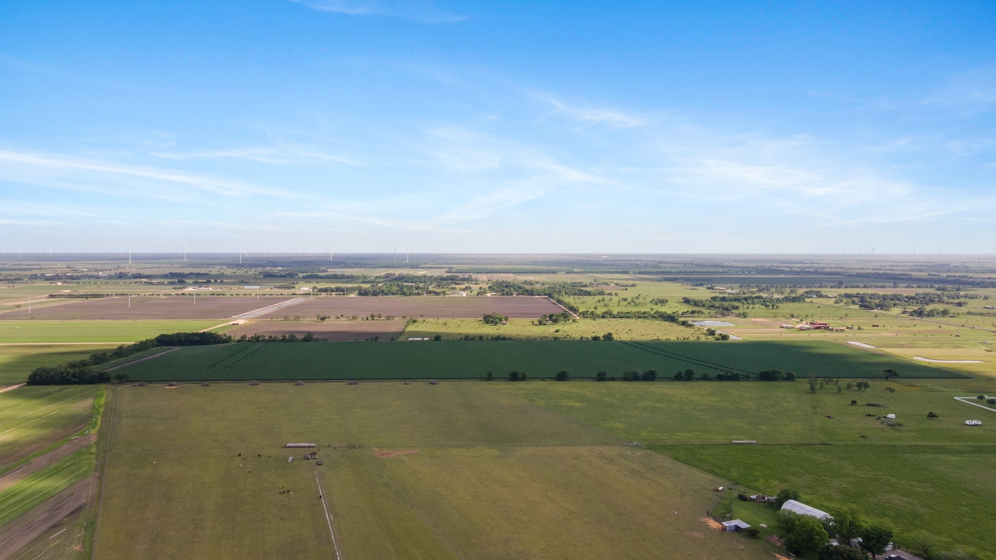 0 County Road 166 Bucks Bayou Road Property Photo 6