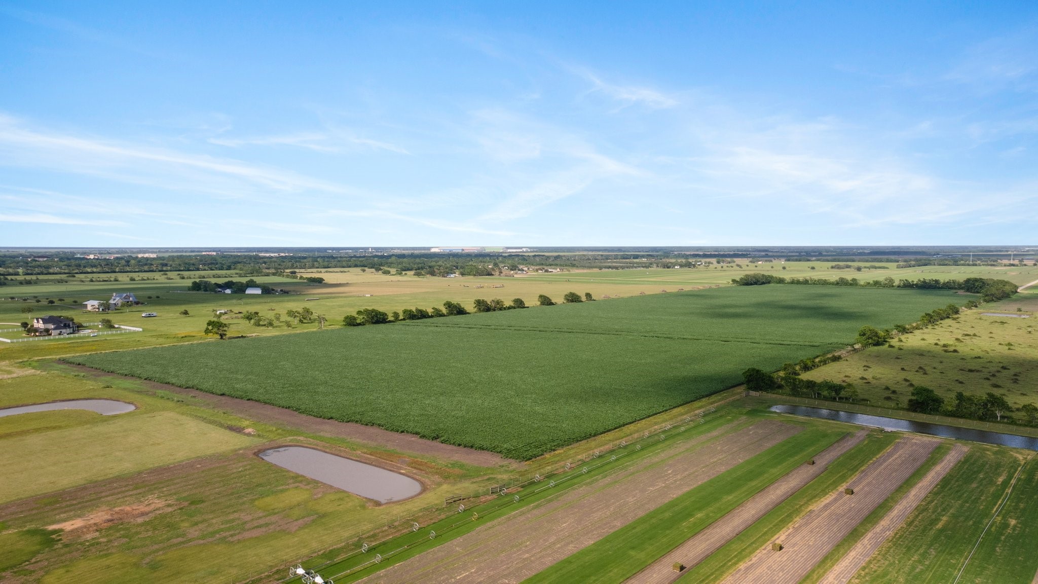 0 County Road 166 Bucks Bayou Road Property Photo 7