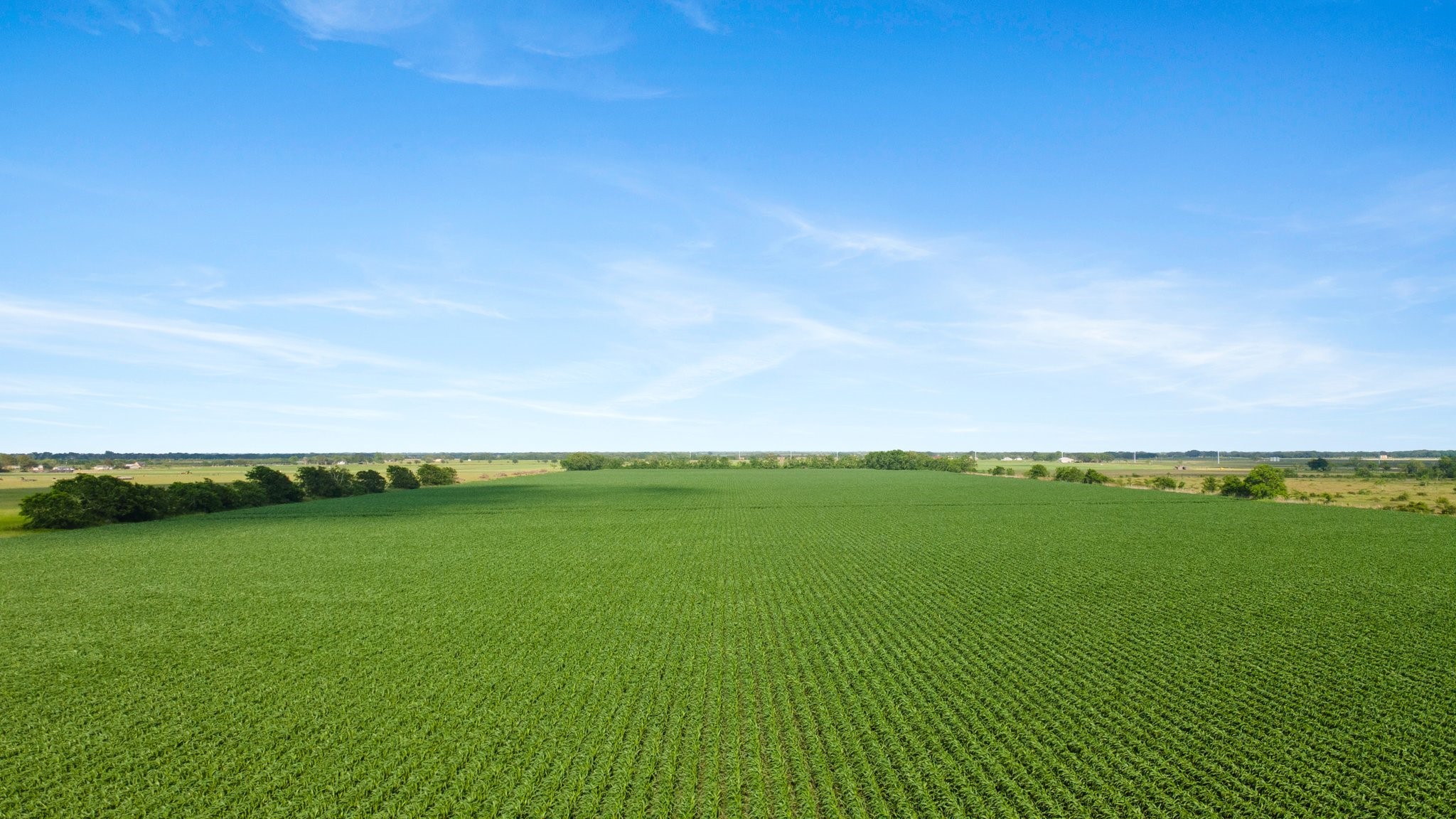 0 County Road 166 Bucks Bayou Road Property Photo 8