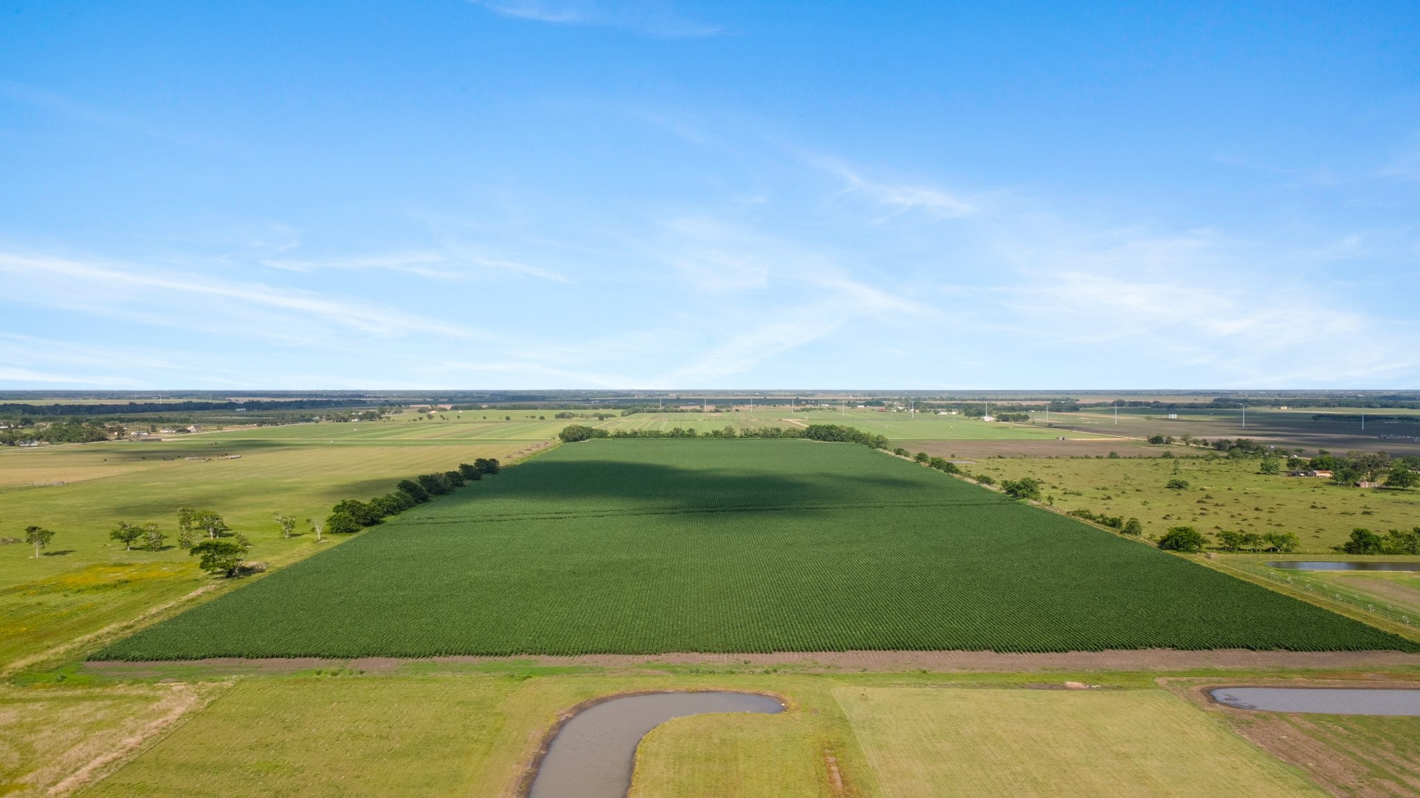 0 County Road 166 Bucks Bayou Road Property Photo 9