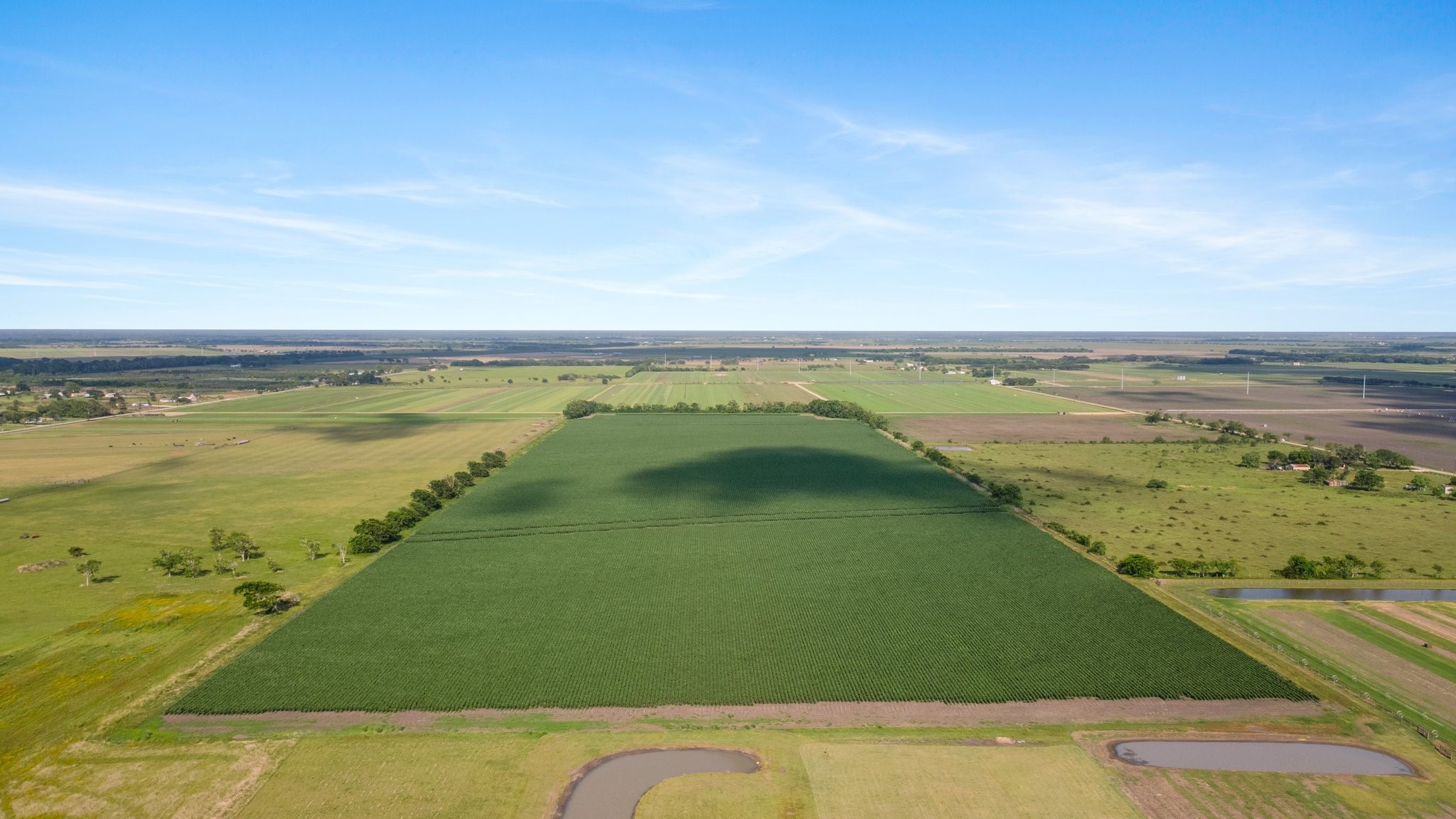 0 County Road 166 Bucks Bayou Road Property Photo 11