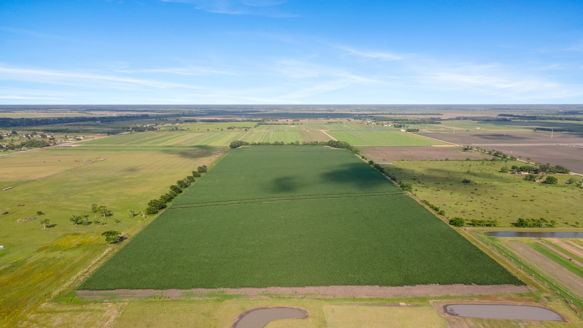 0 County Road 166 Bucks Bayou Road Property Photo 13