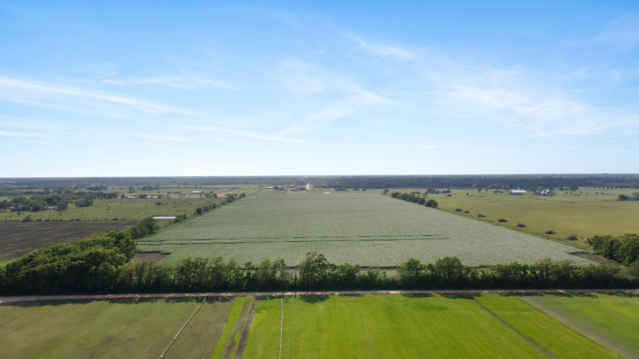 0 County Road 166 Bucks Bayou Road Property Photo 14