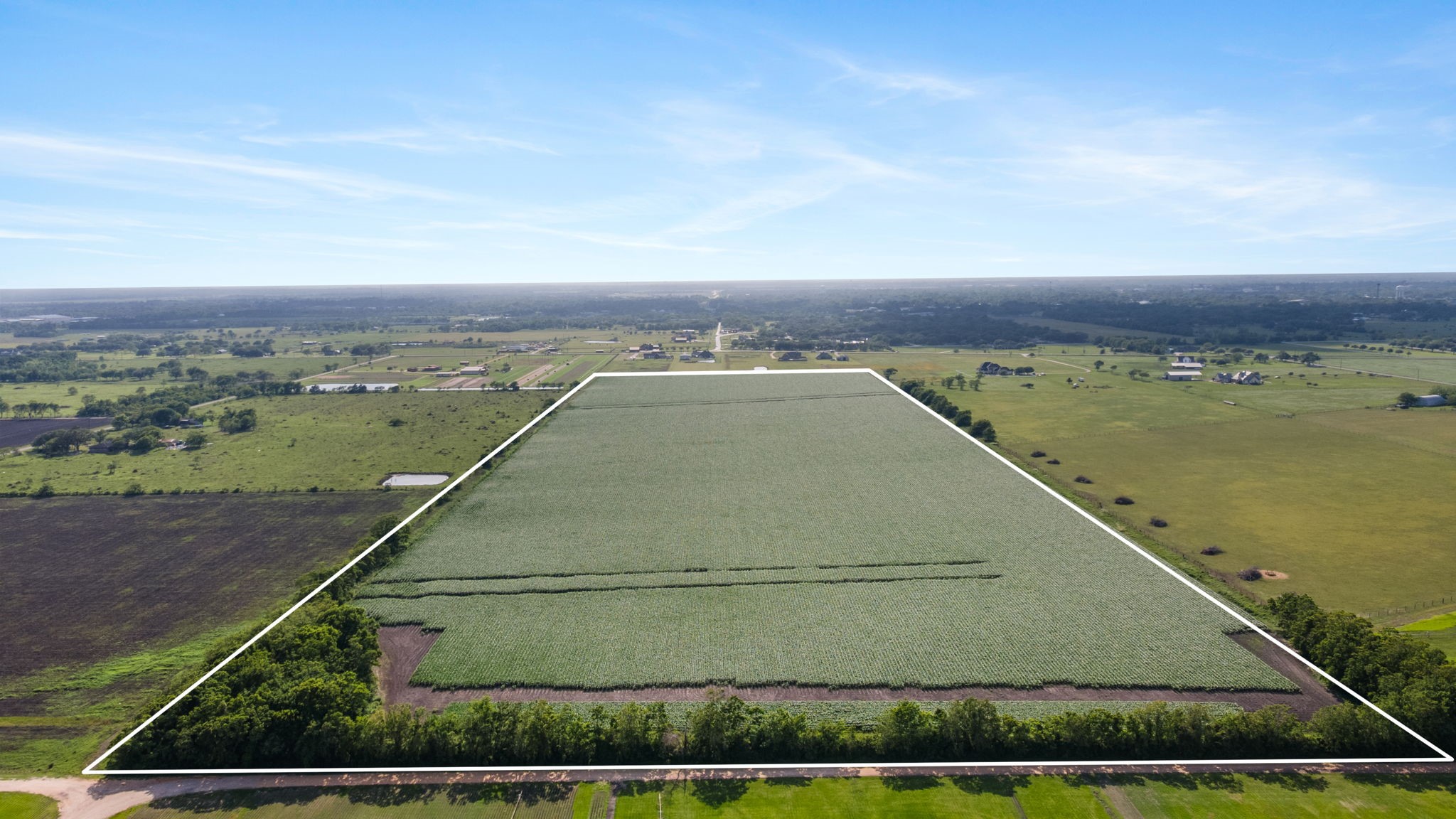 0 County Road 166 Bucks Bayou Road Property Photo 15