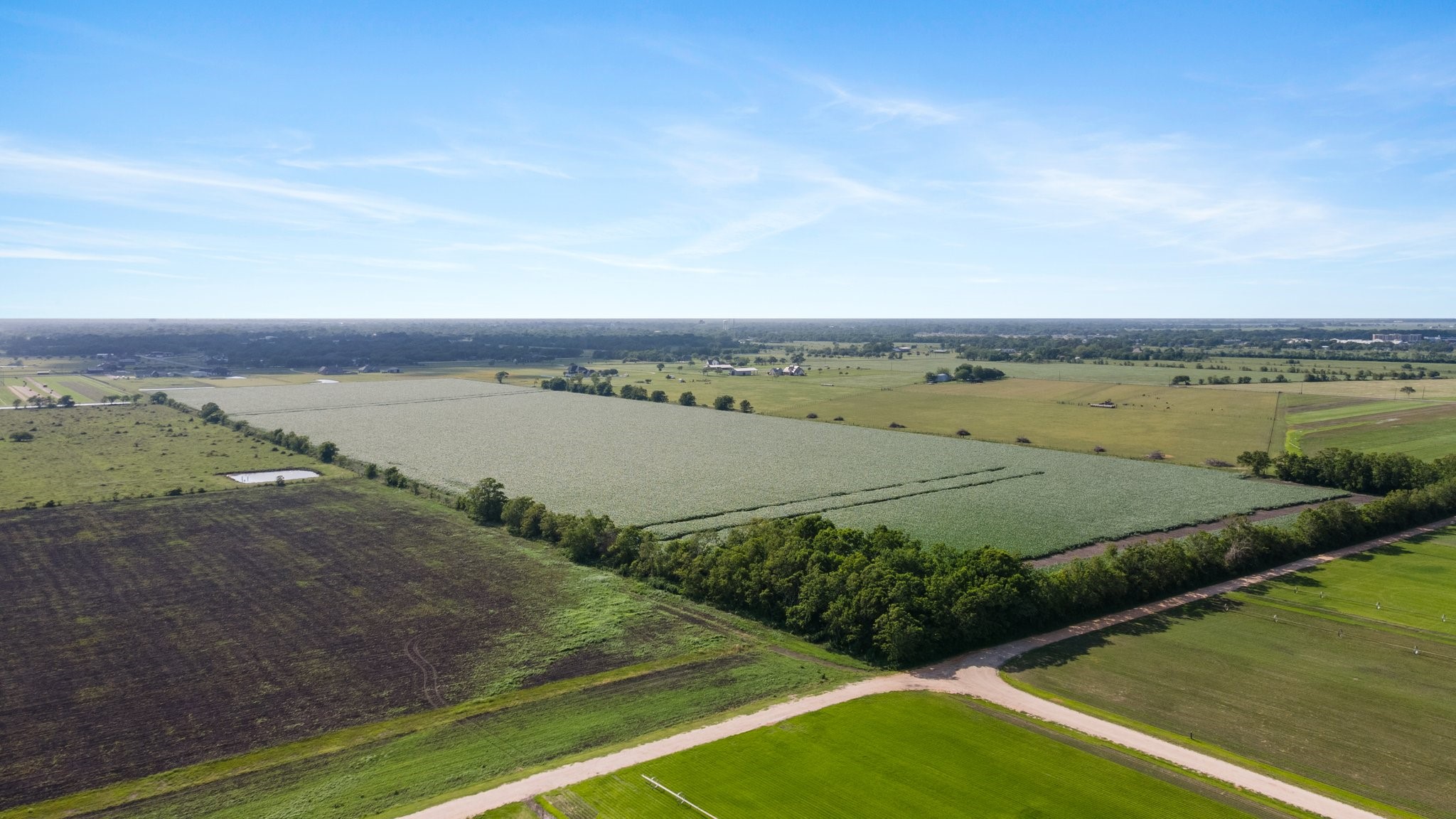 0 County Road 166 Bucks Bayou Road Property Photo 17