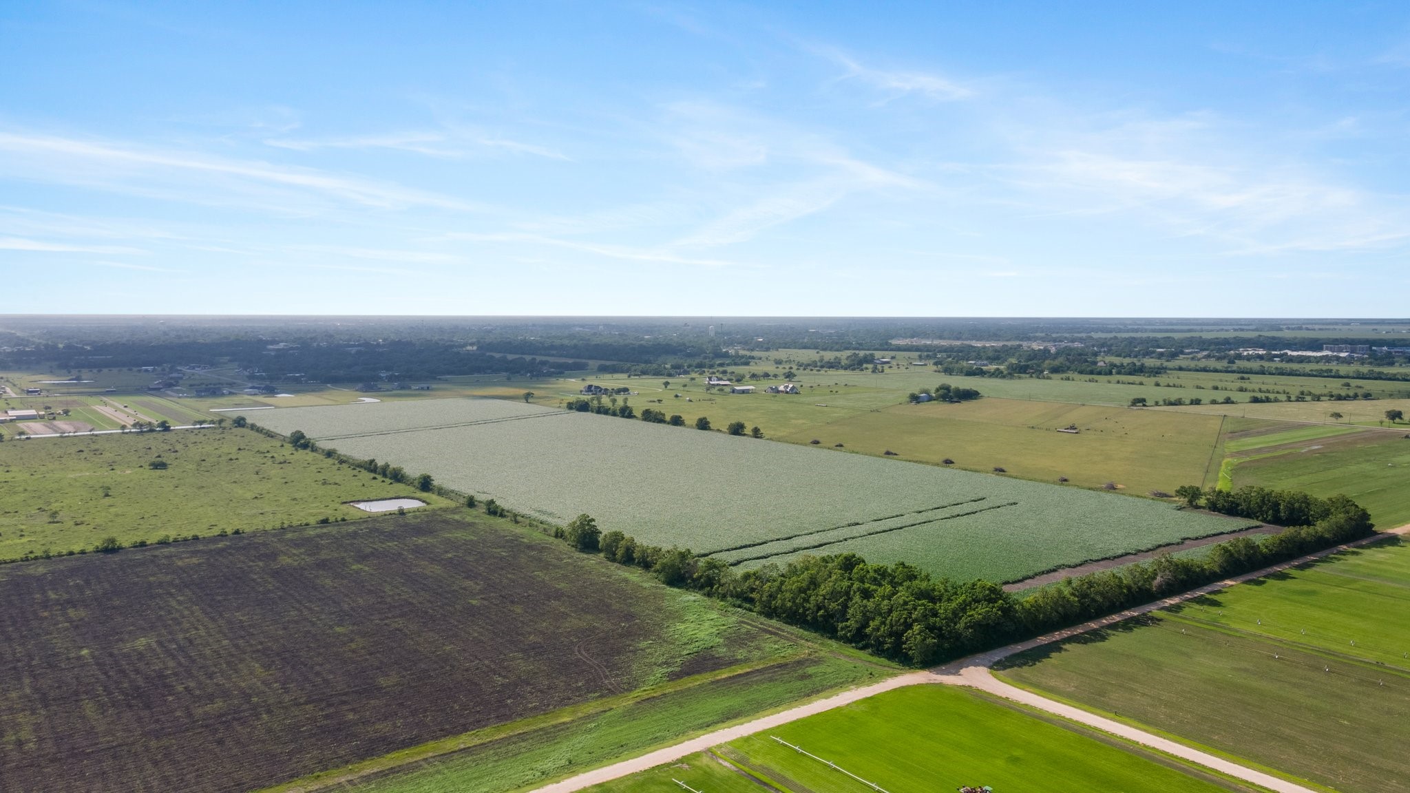 0 County Road 166 Bucks Bayou Road Property Photo 19