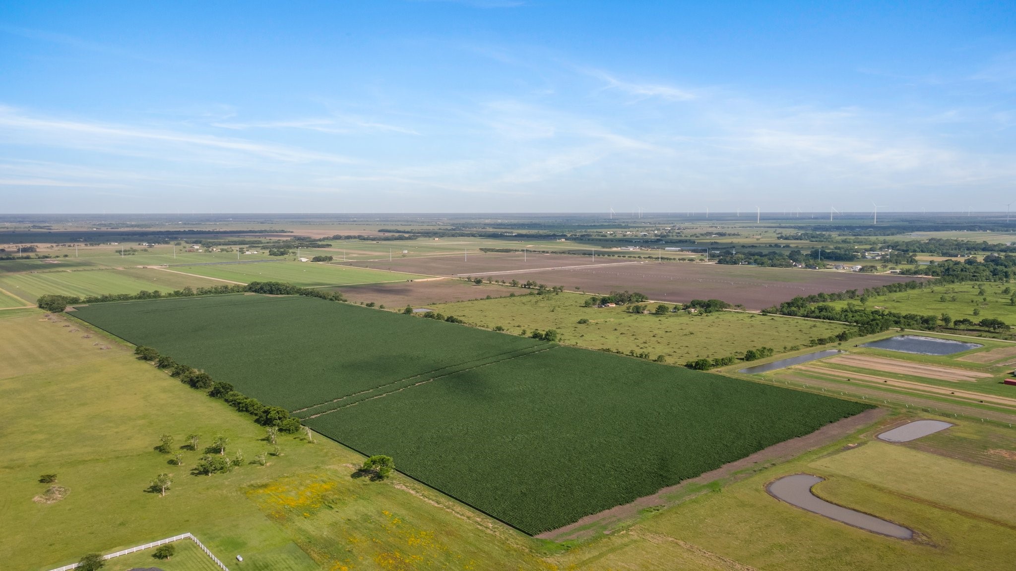 0 County Road 166 Bucks Bayou Road Property Photo 20
