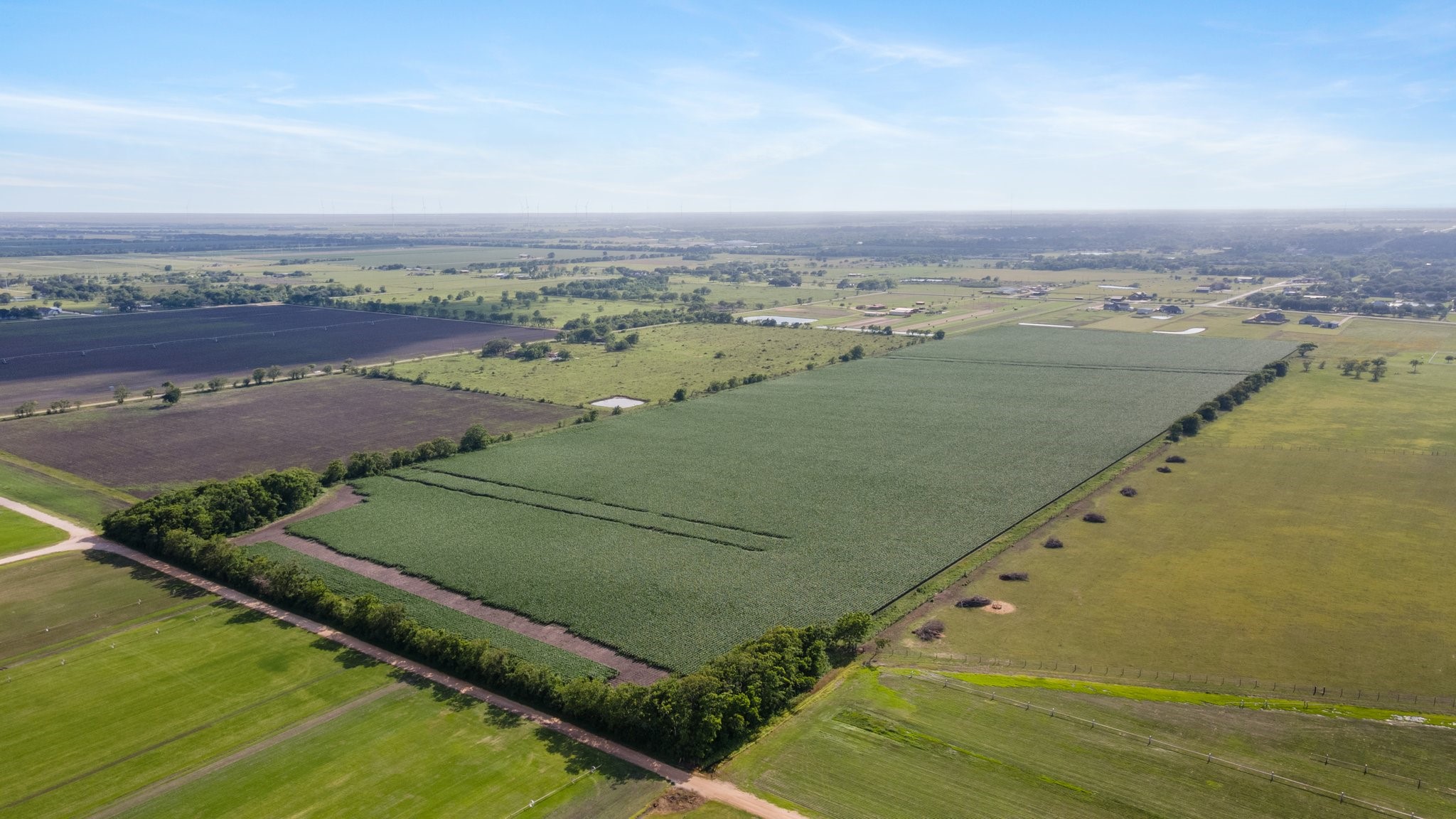 0 County Road 166 Bucks Bayou Road Property Photo 21