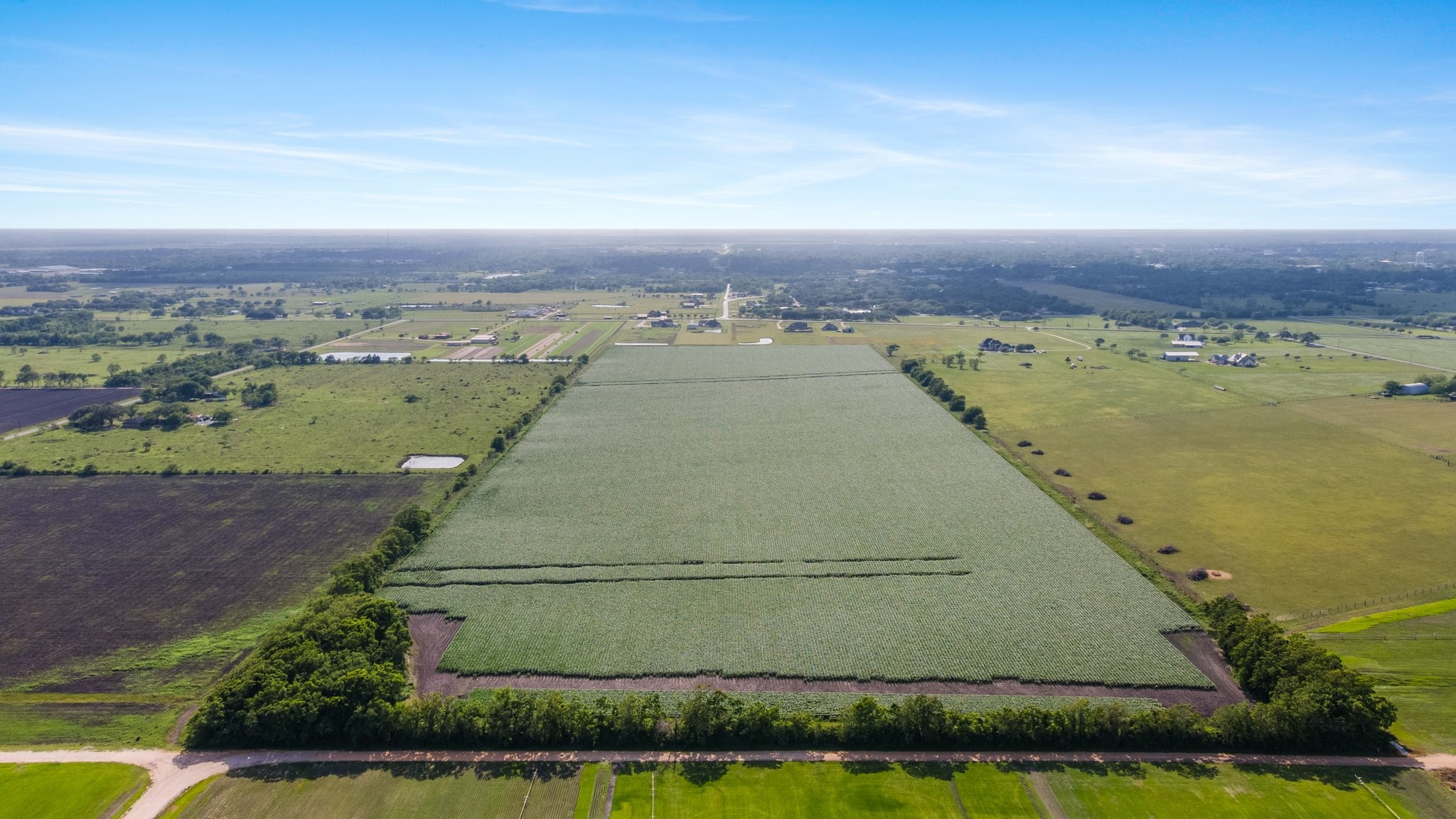 0 County Road 166 Bucks Bayou Road Property Photo 22