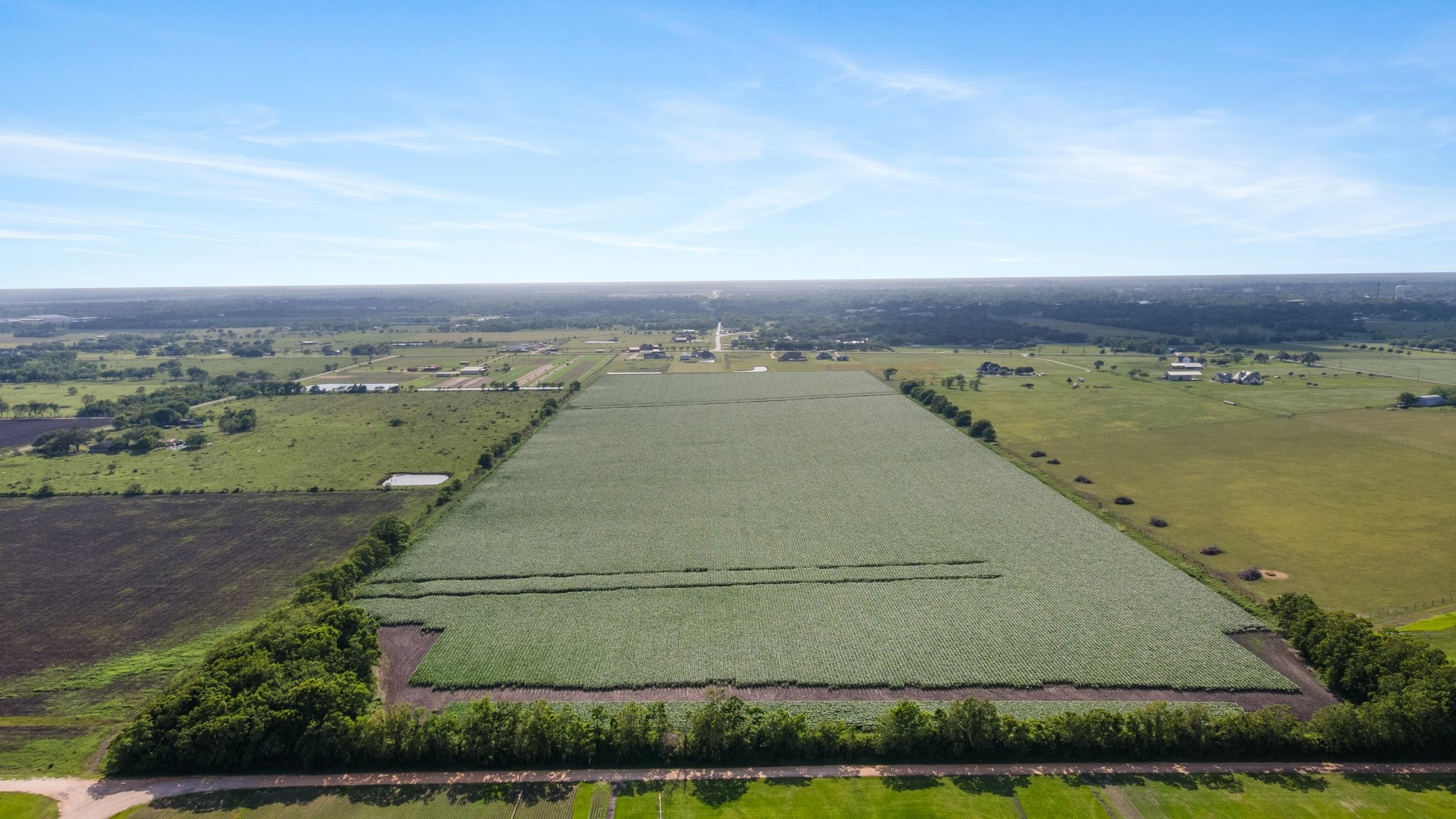 0 County Road 166 Bucks Bayou Road Property Photo 23
