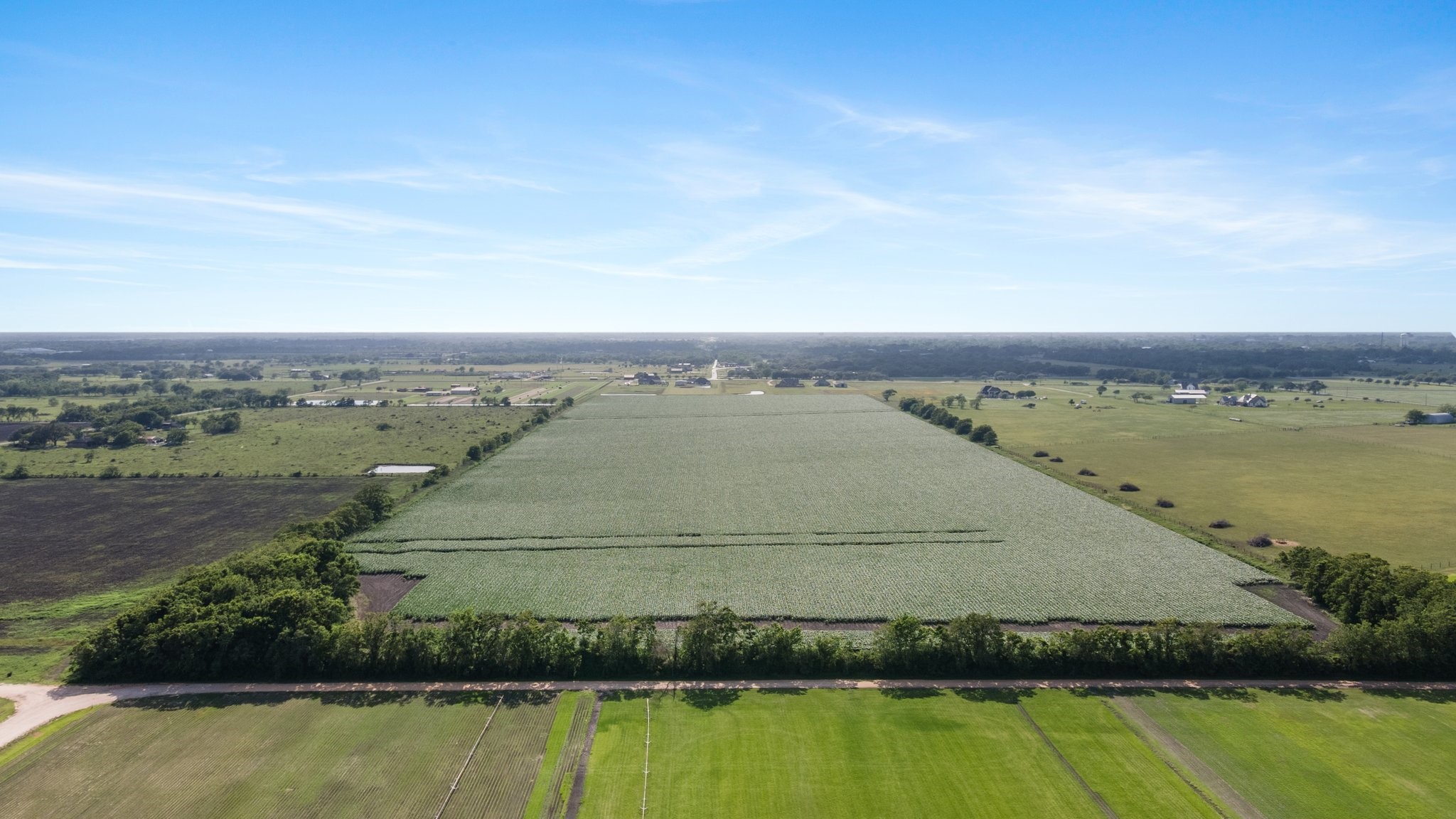 0 County Road 166 Bucks Bayou Road Property Photo 24