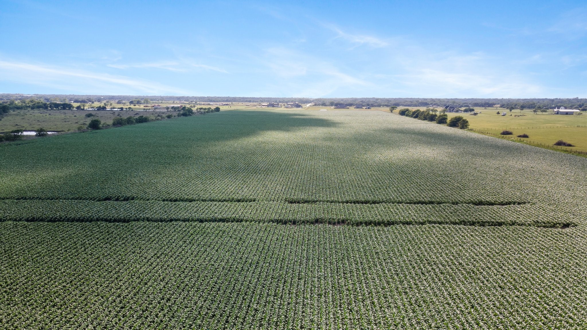 0 County Road 166 Bucks Bayou Road Property Photo 25