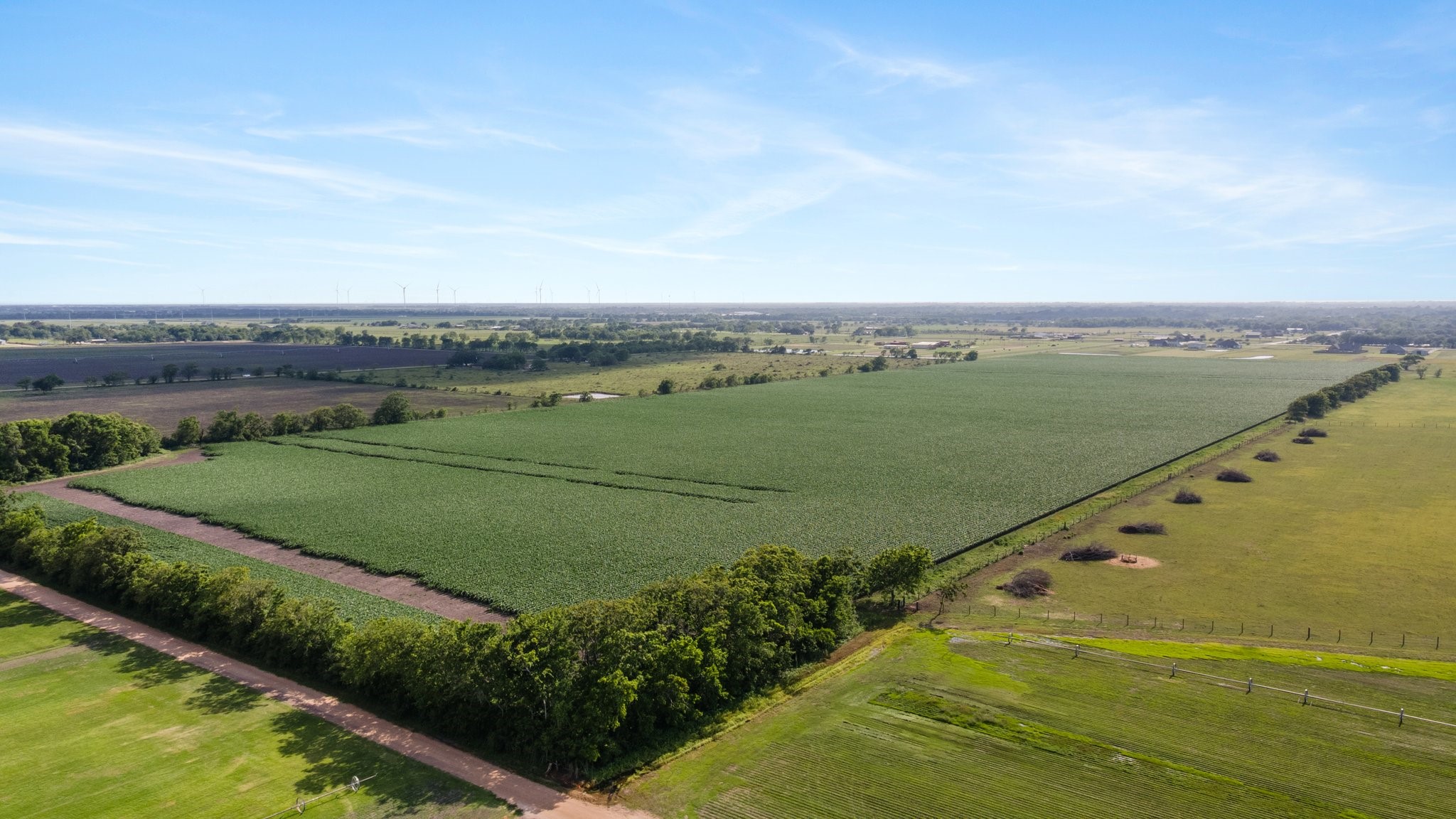 0 County Road 166 Bucks Bayou Road Property Photo 26