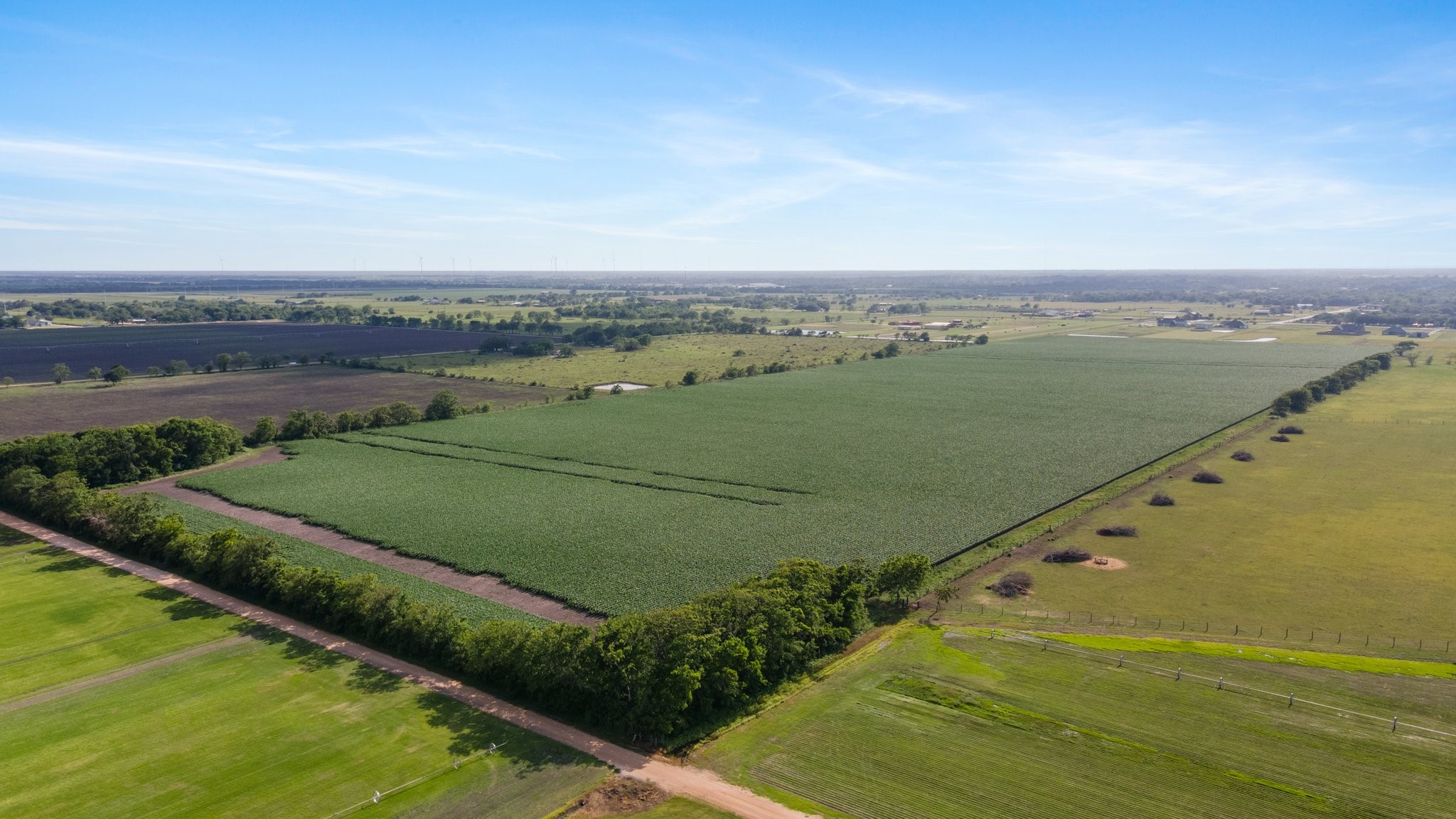 0 County Road 166 Bucks Bayou Road Property Photo 27