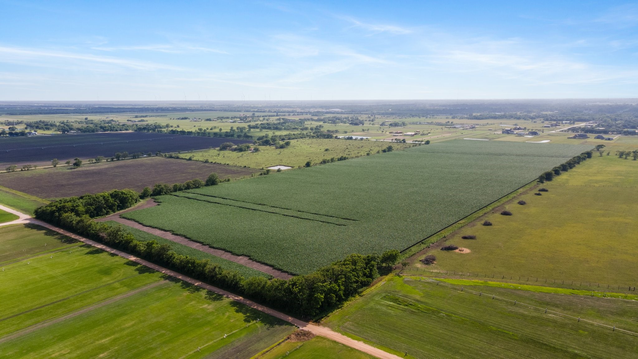 0 County Road 166 Bucks Bayou Road Property Photo 28