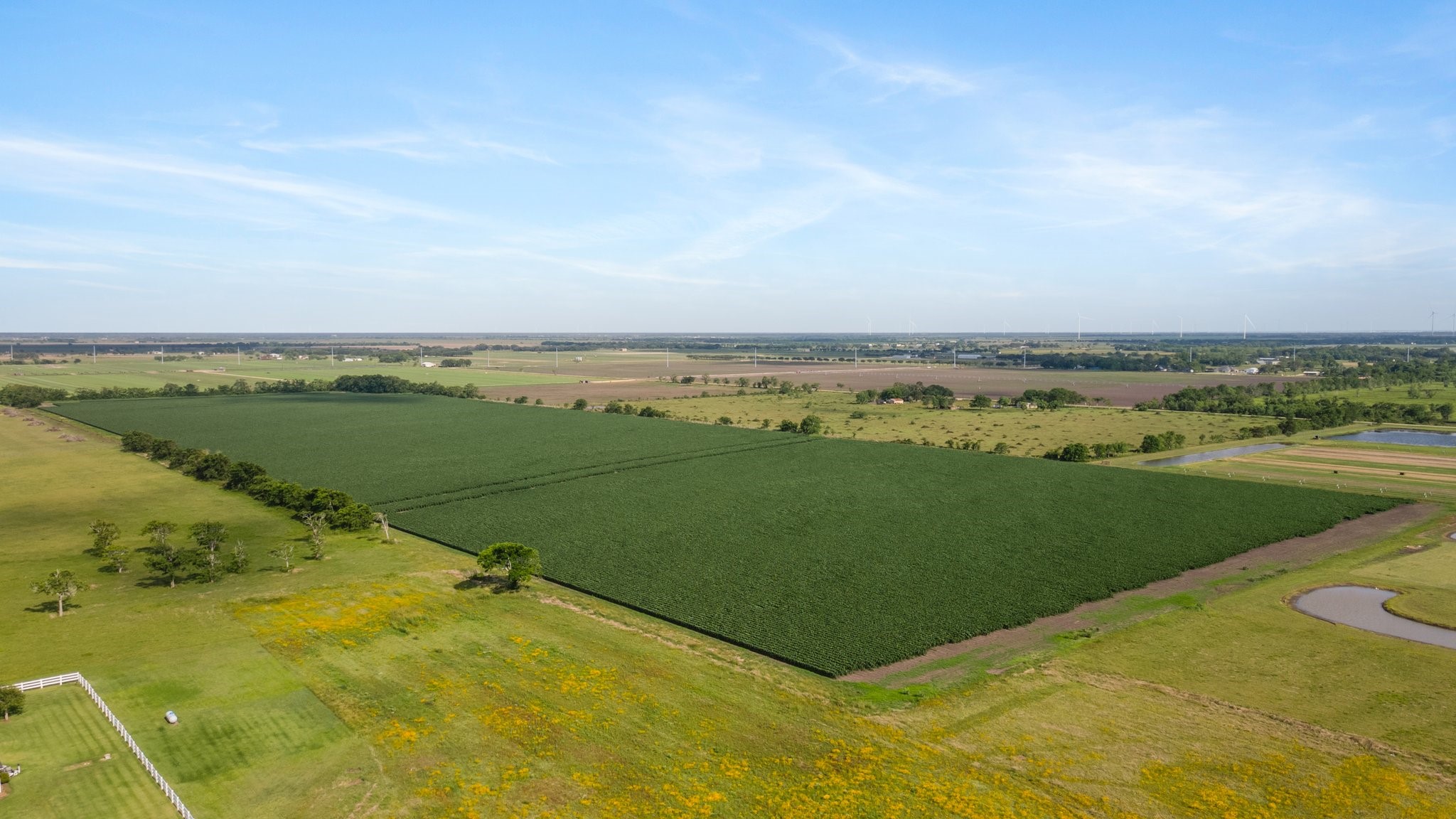 0 County Road 166 Bucks Bayou Road Property Photo 29