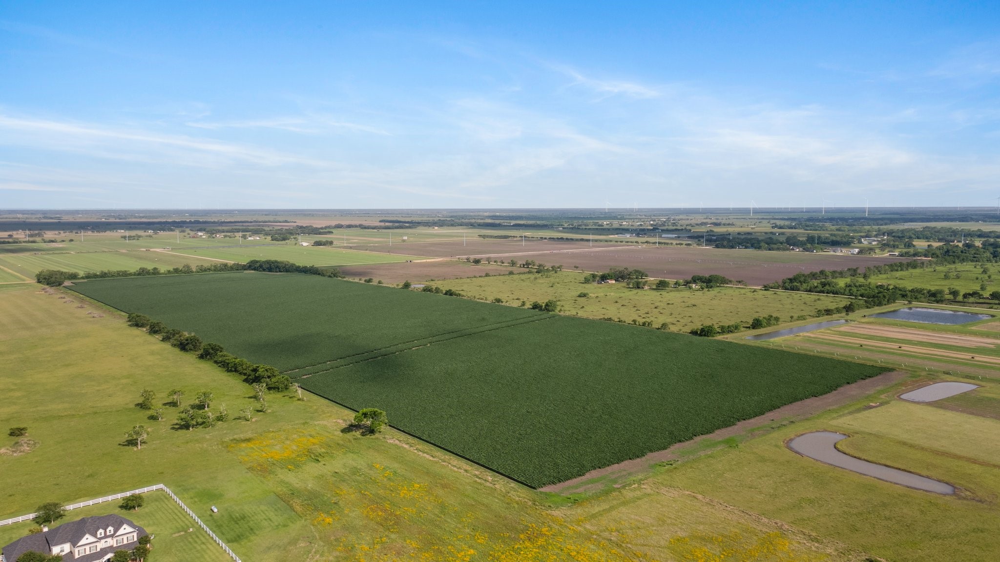 0 County Road 166 Bucks Bayou Road Property Photo 30
