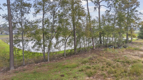 21225 W Hammond Drive Property Photo 5