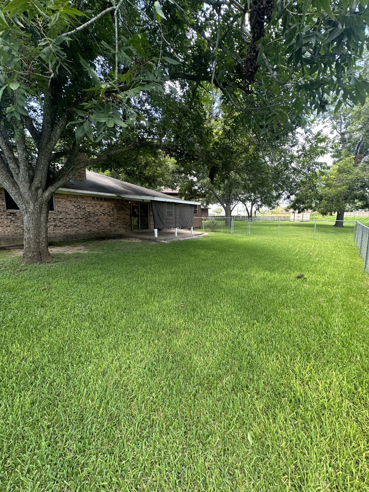1003 Allison Property Photo 12