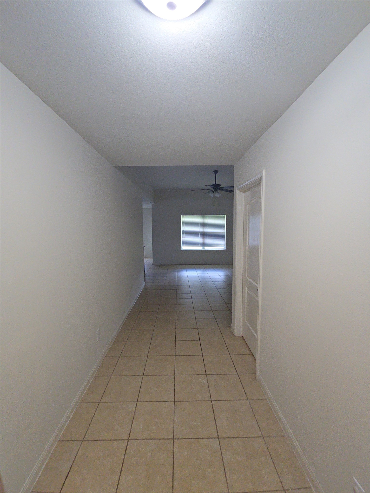 2303 Golden Brandy Lane Property Photo 18