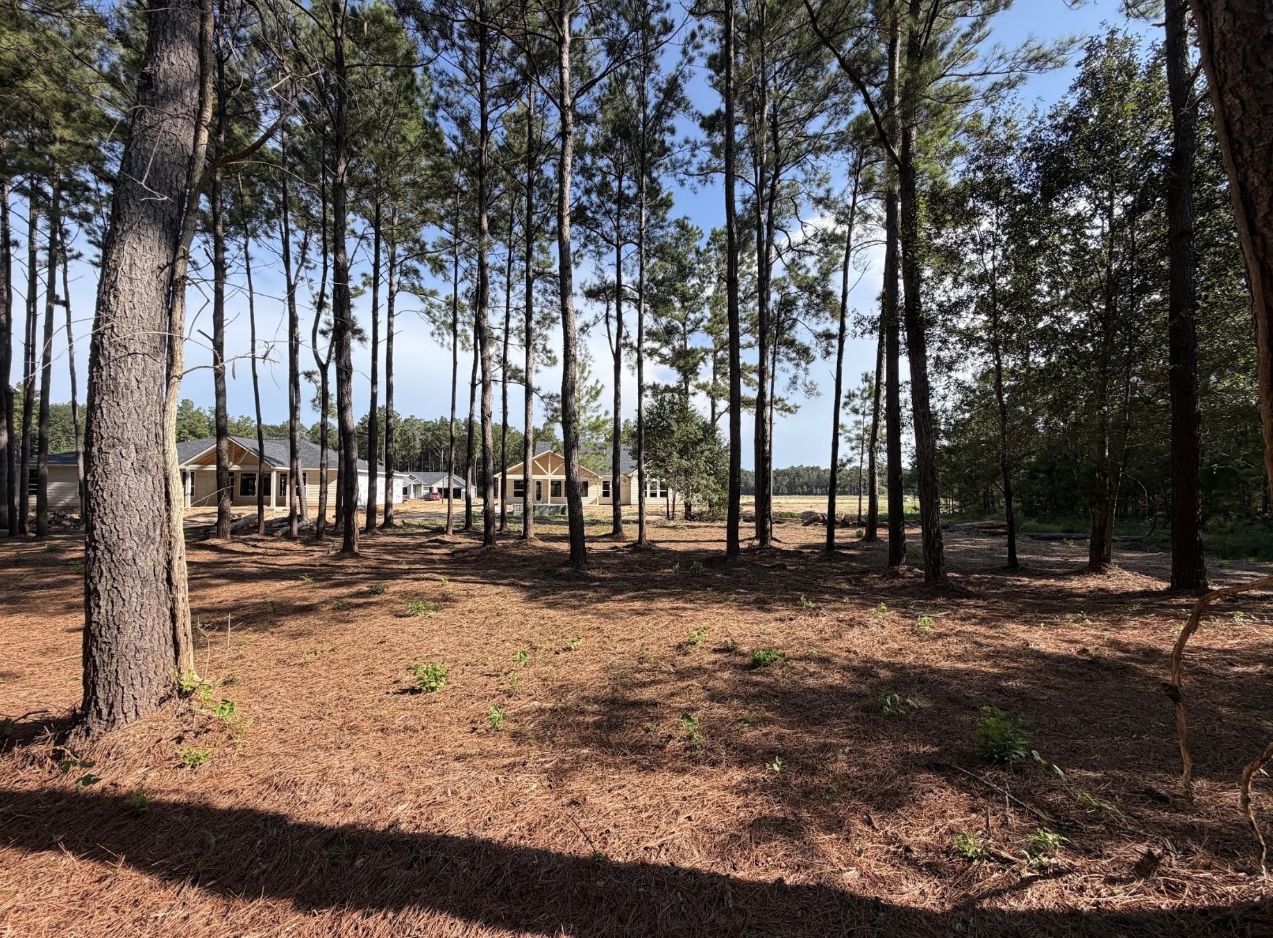17717 Flagstone Way Property Photo 3