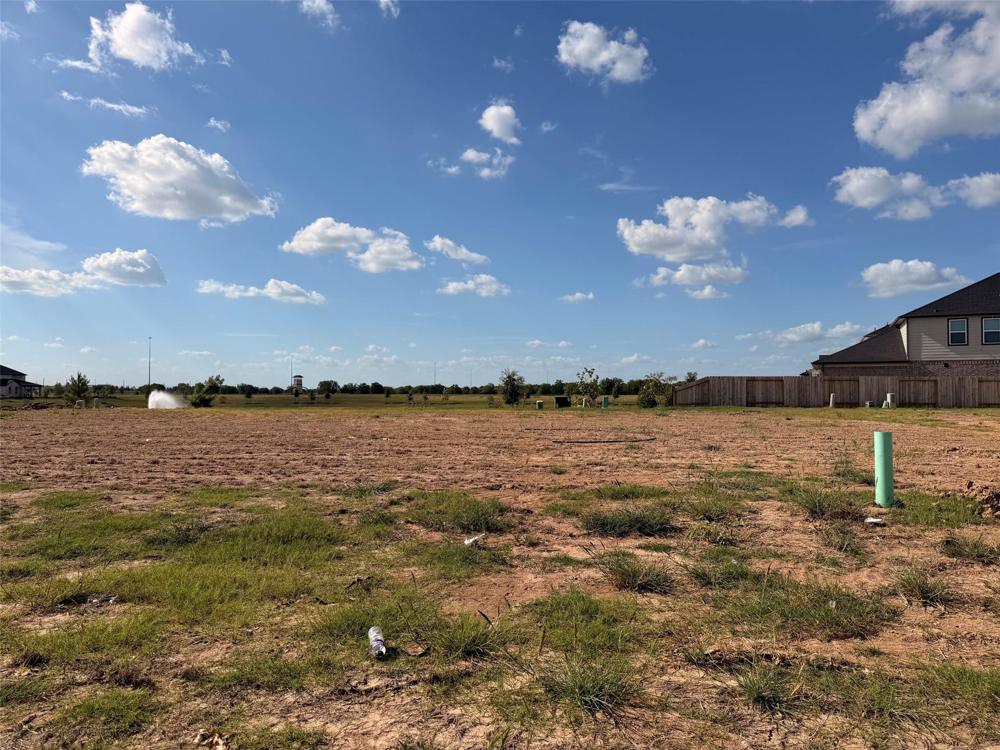 2723 Meyer Lemon Tree, Manvel Tx 77578 Property Photo 6