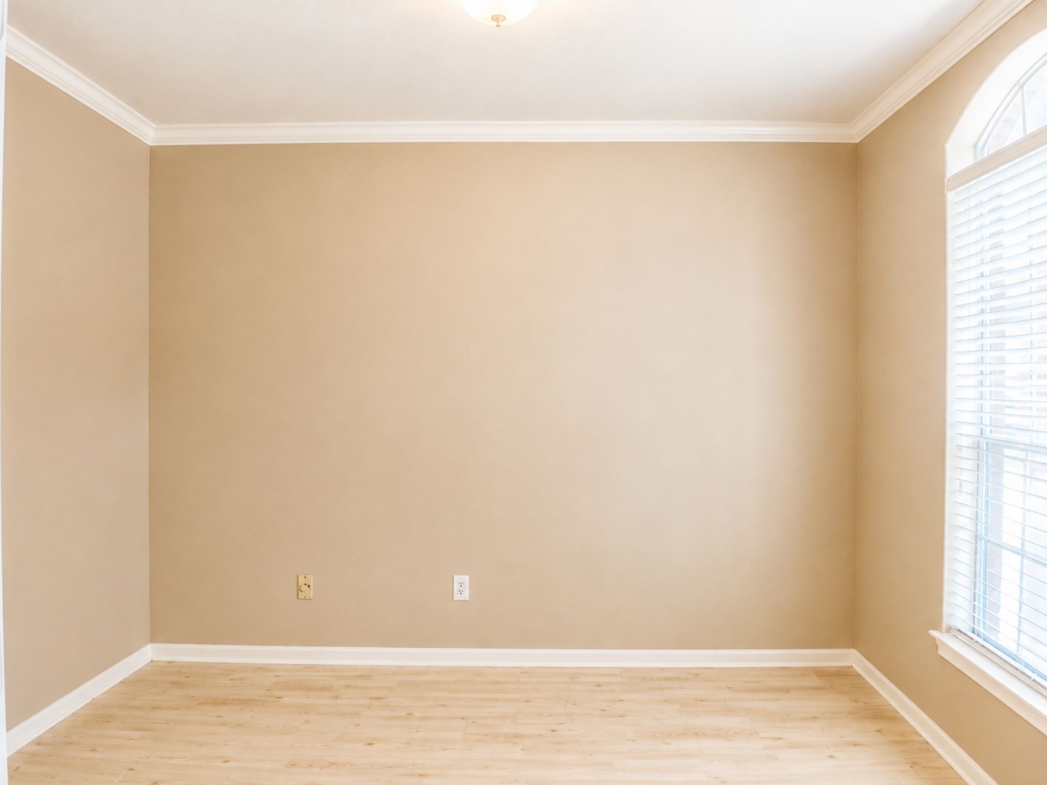 17202 Desert Maize Lane Property Photo 4