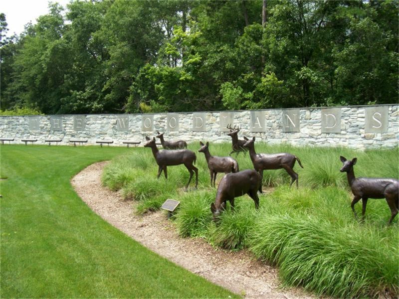 23 Douvaine Court Property Photo 49