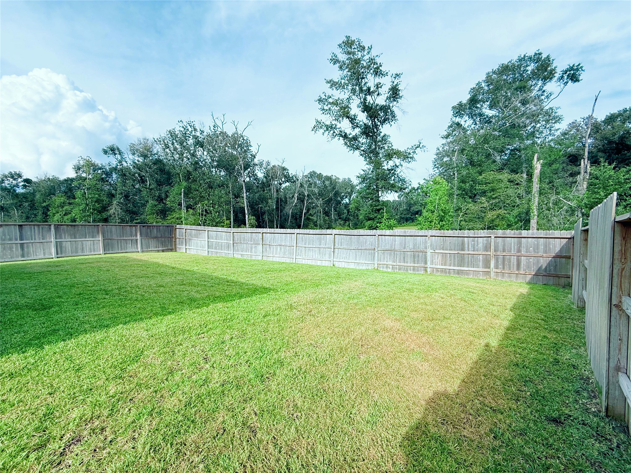 19591 Manduca Drive Property Photo 33