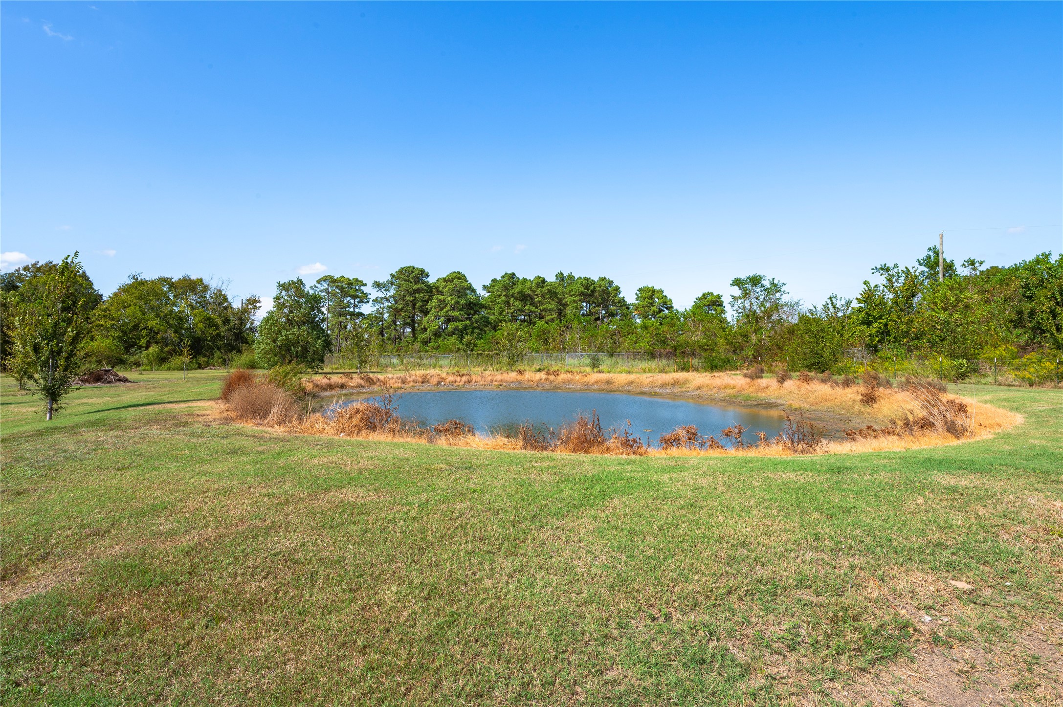 7120 County Road 171 Property Photo 39