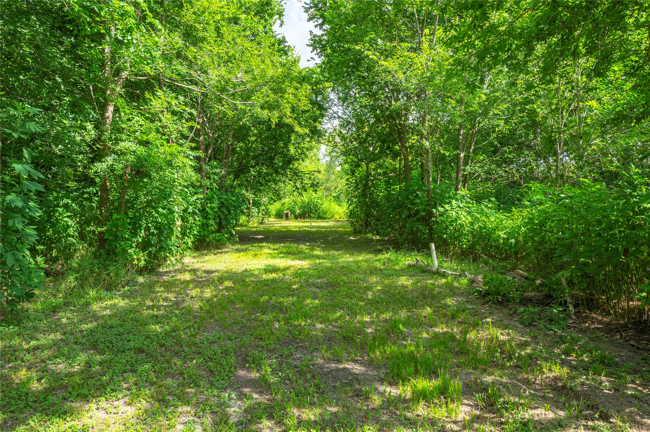 1857 County Road 99 Property Photo 30