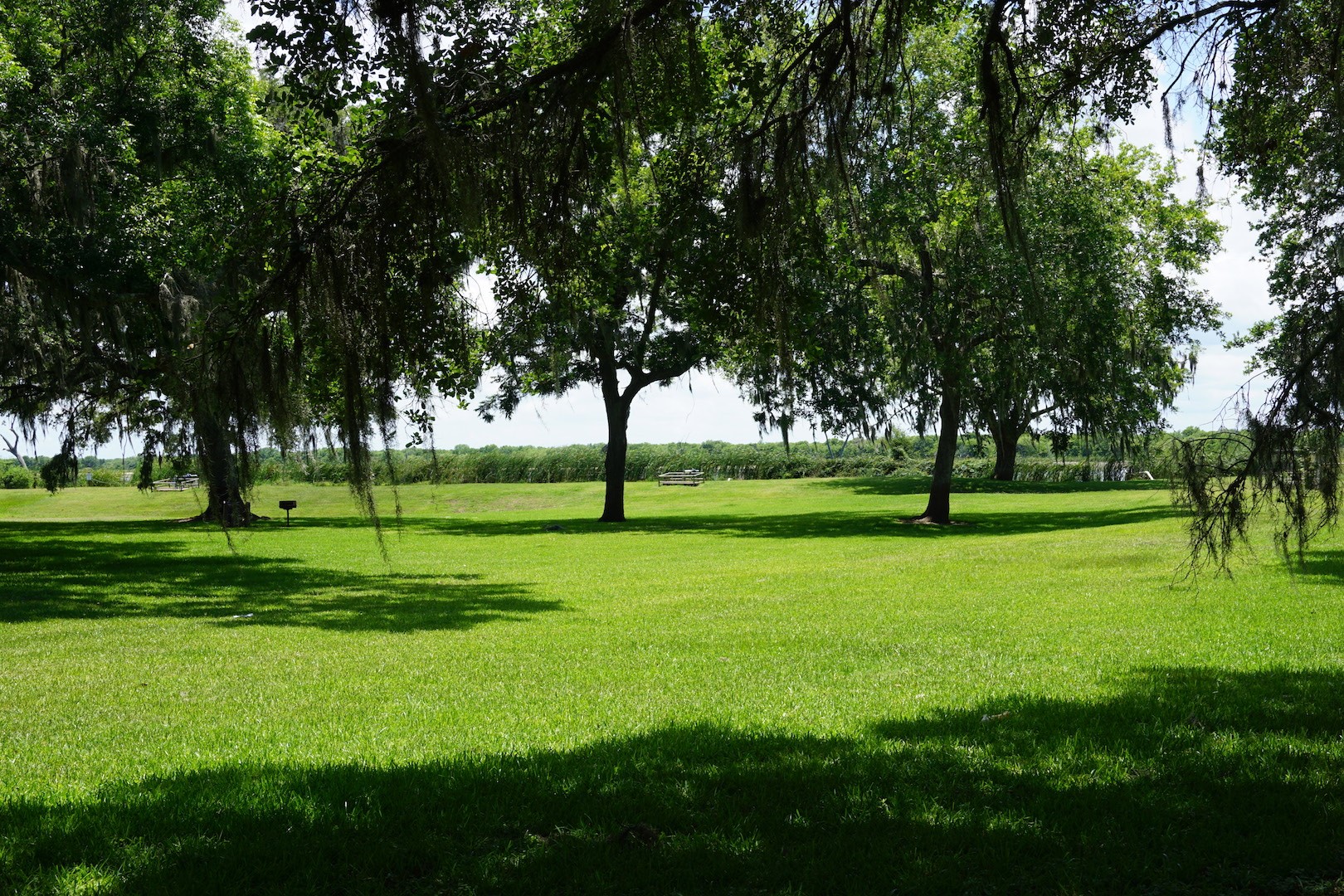 Lot 46 Brahman Trail Property Photo 3